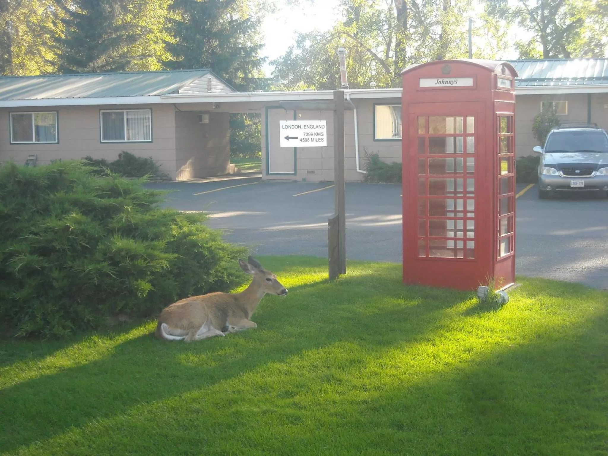 Property building in Johnny's Motel