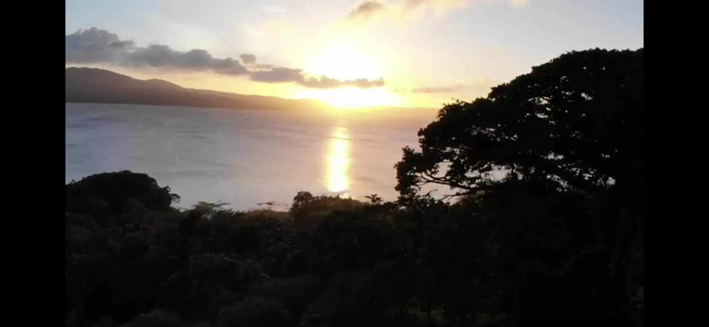 Natural landscape in La Ceiba Tree Lodge