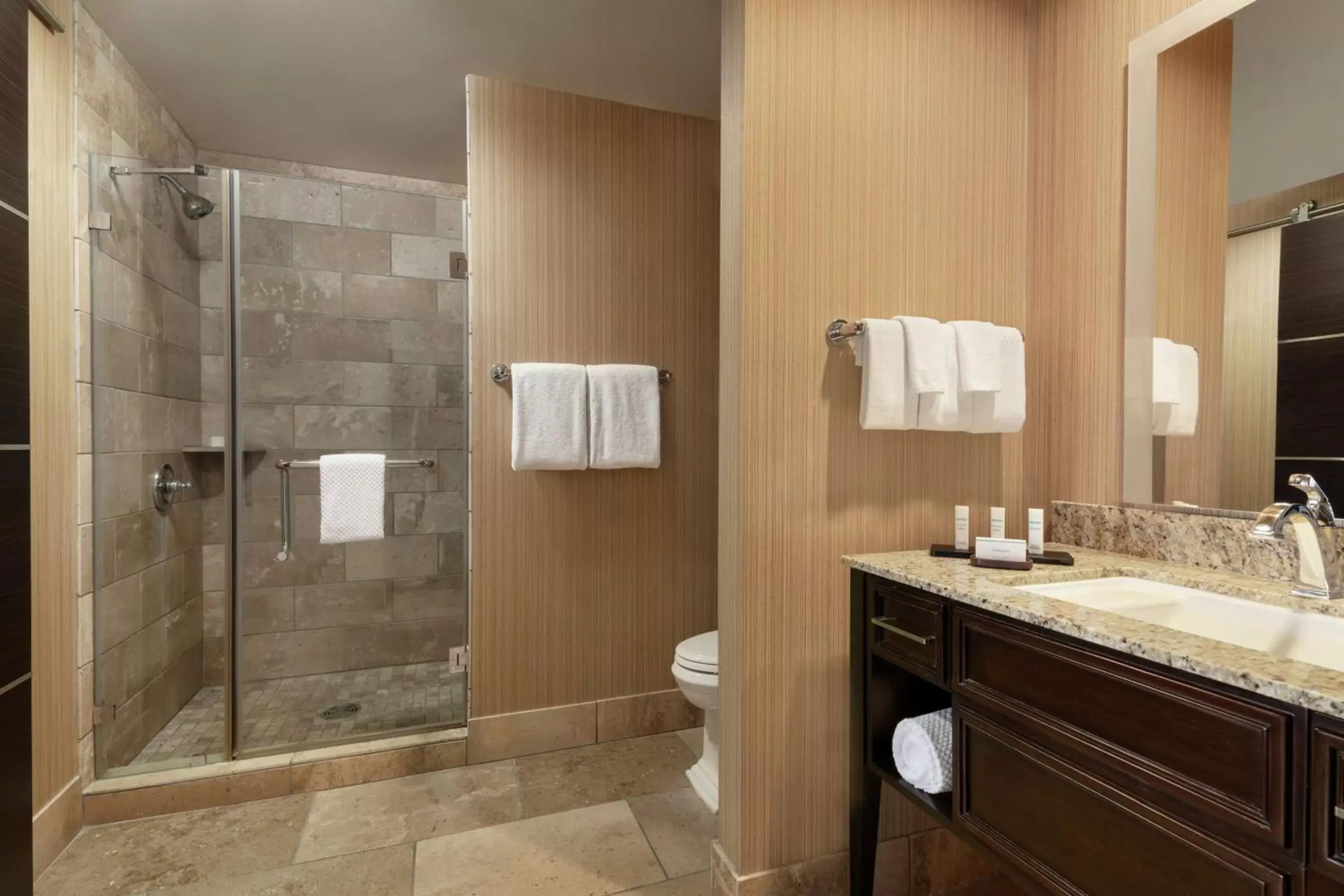 Bathroom in Embassy Suites by Hilton Salt Lake West Valley City