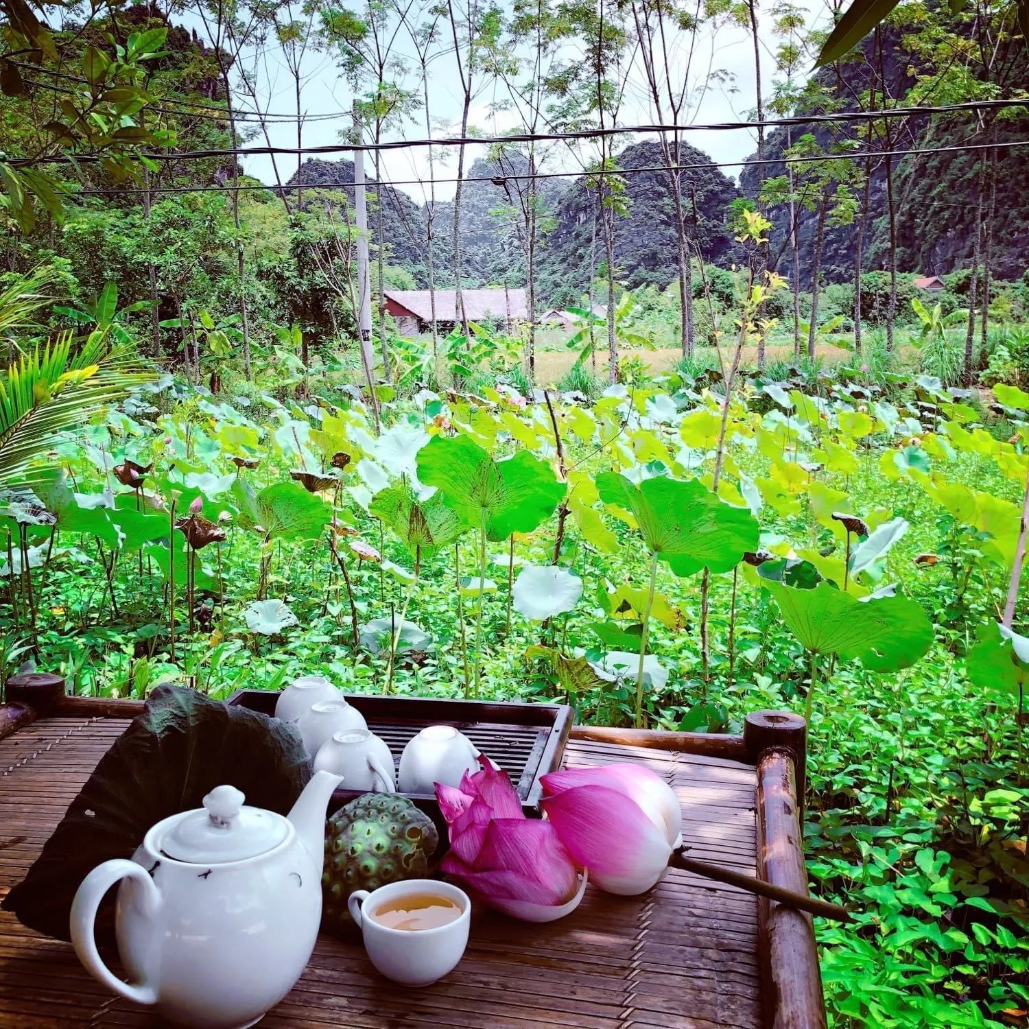 Garden in Trang An Retreat