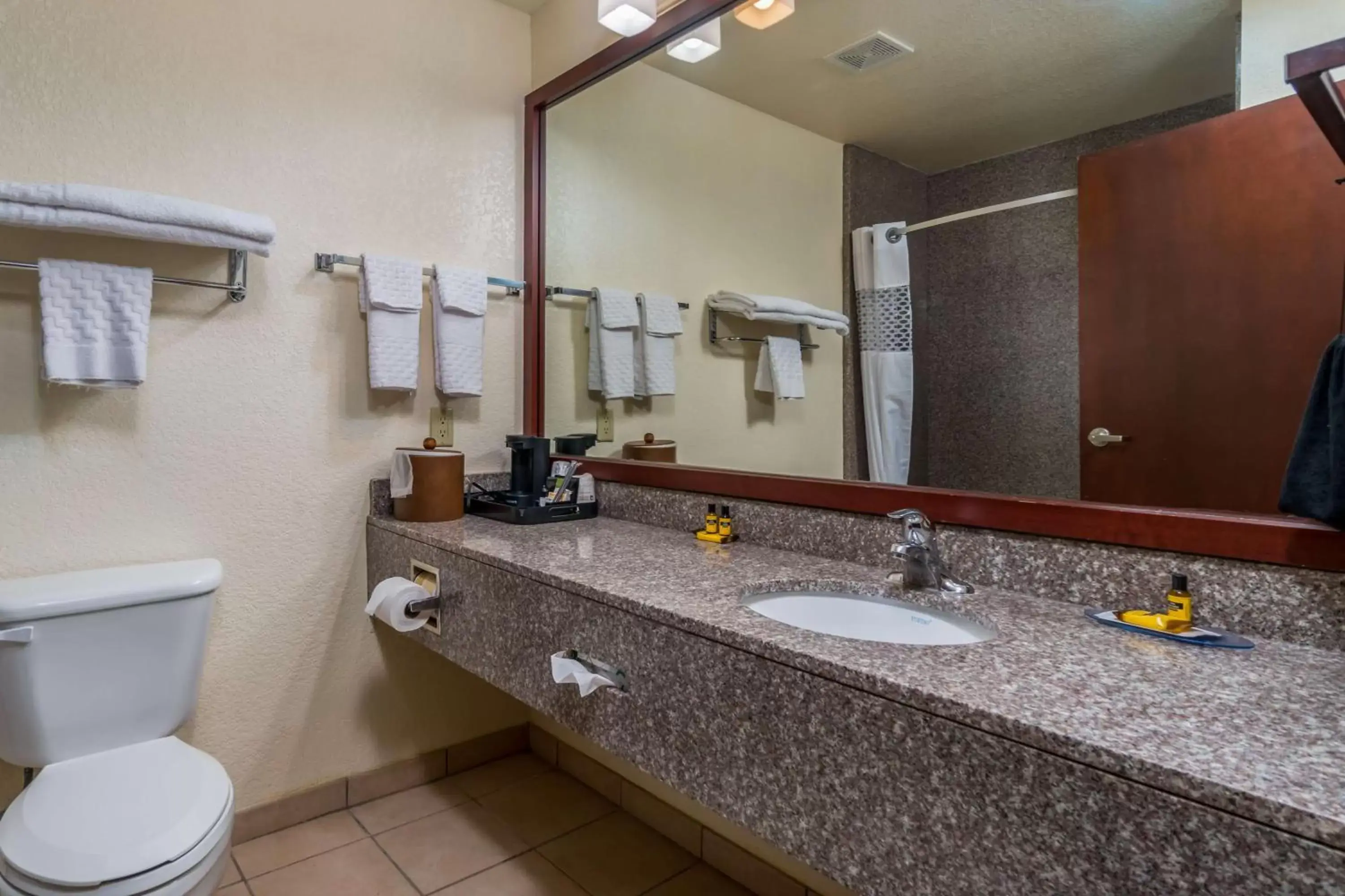 Bathroom in Best Western Plus Shamrock Inn & Suites