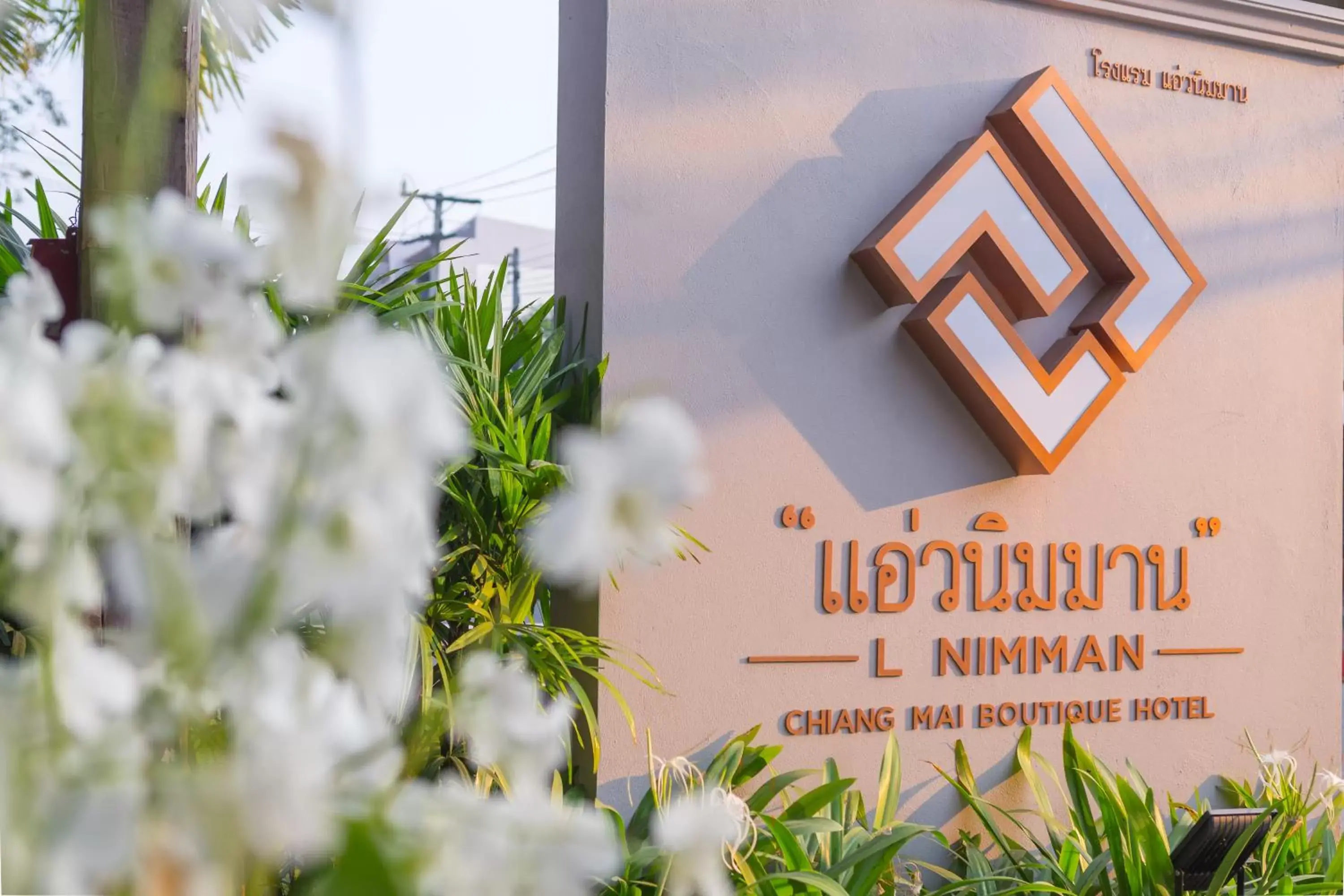 Property building in L Nimman Property building in L Nimman