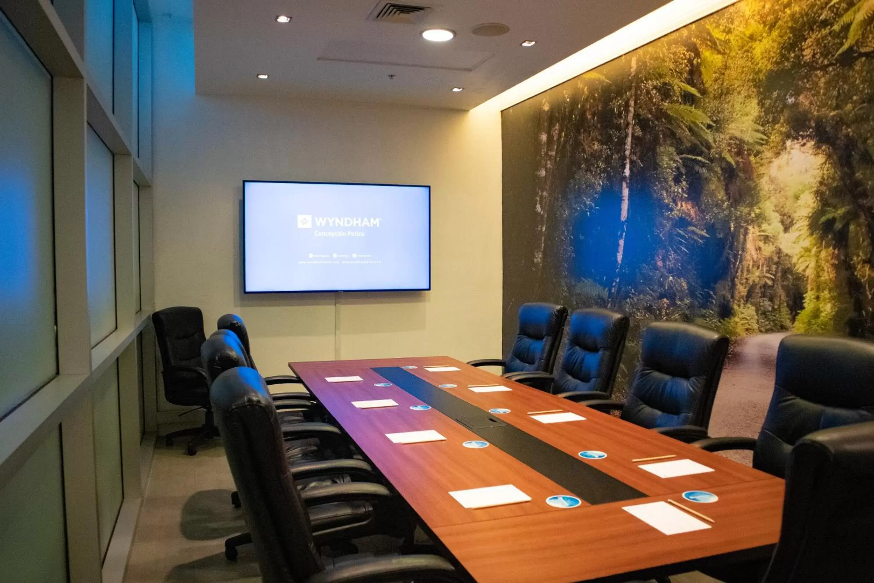 Meeting/conference room, Business Area/Conference Room in Wyndham Concepcion Pettra