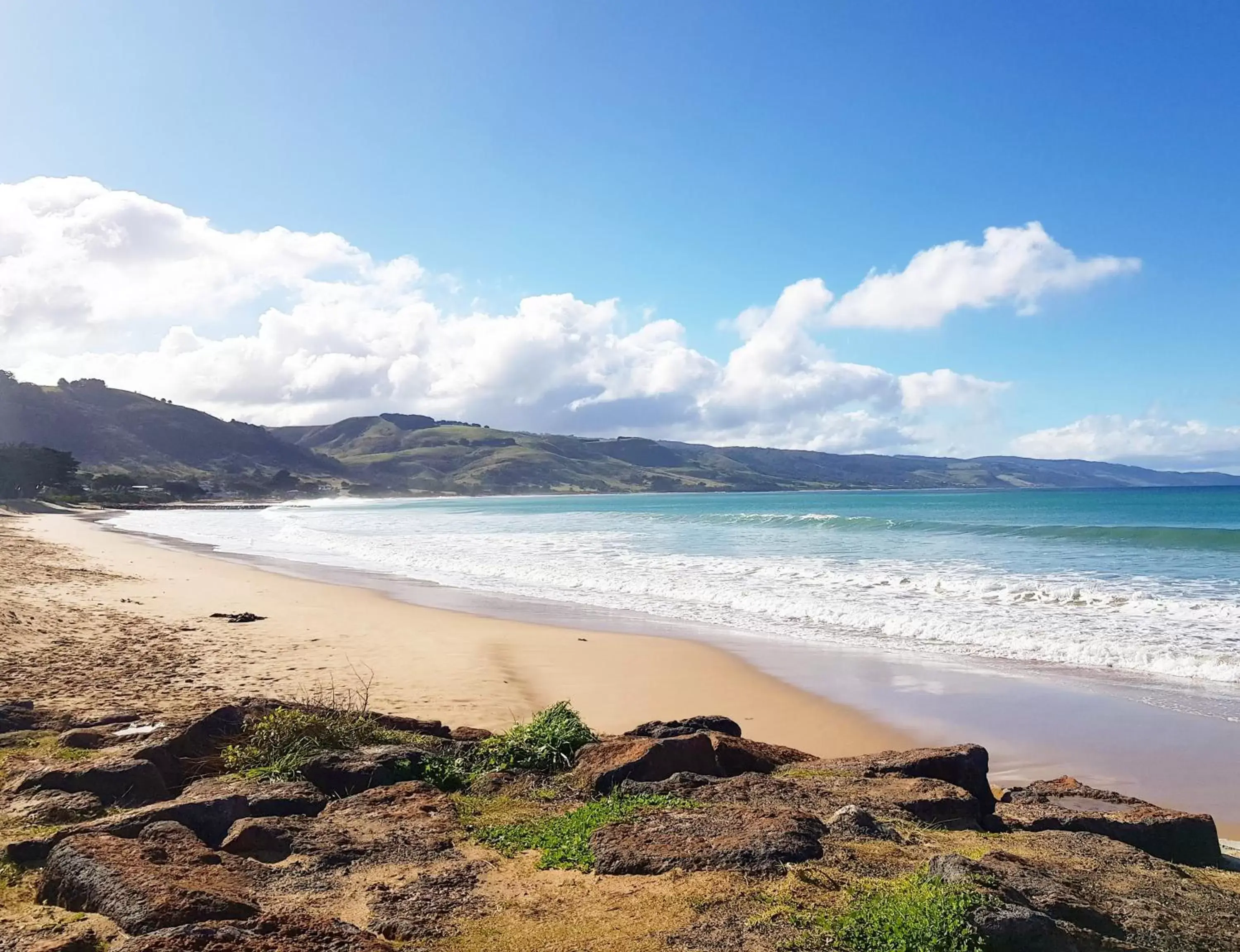 Natural landscape, Beach in Seaview Motel & Apartments