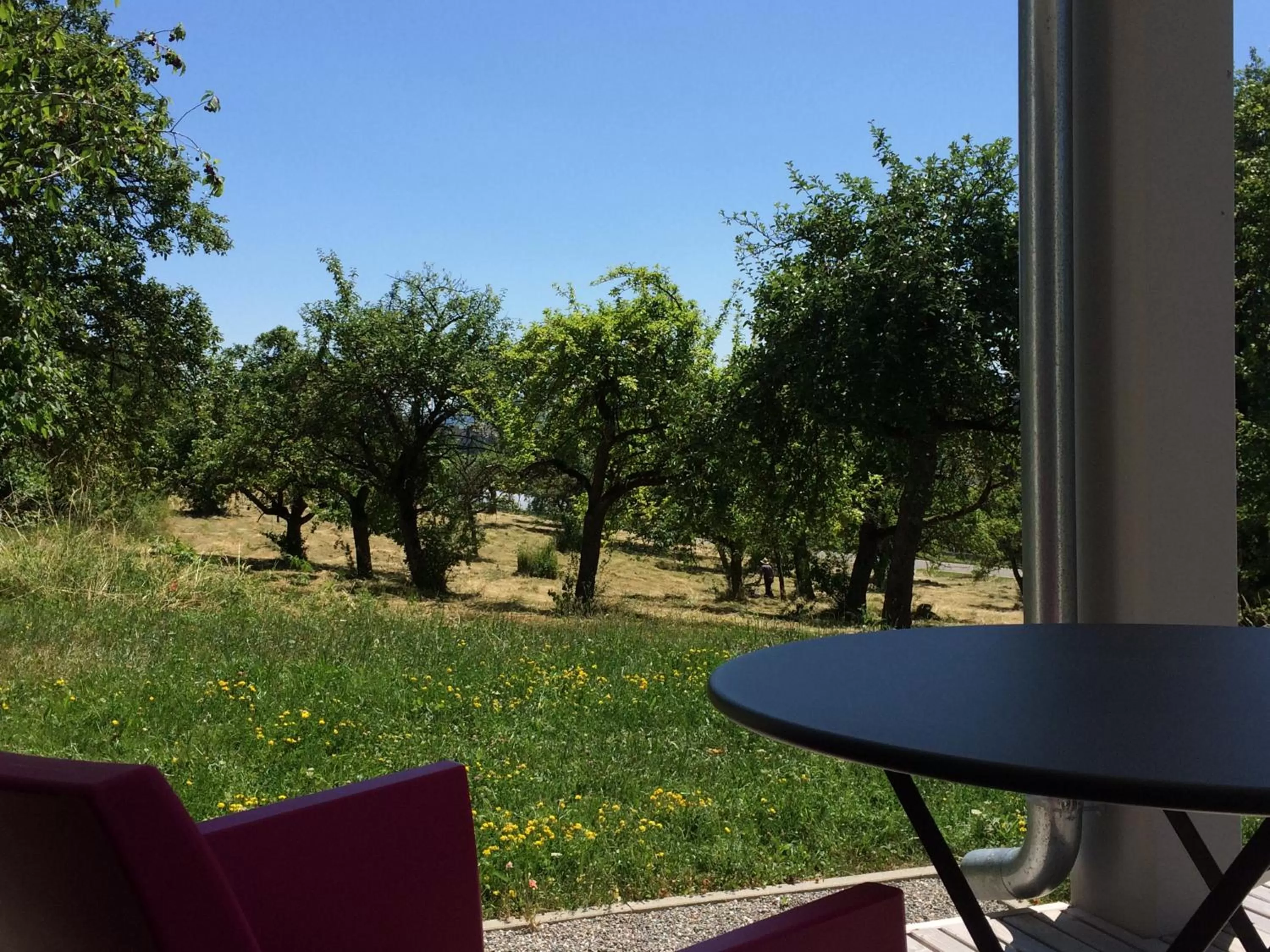 Garden in Hewen Apartments