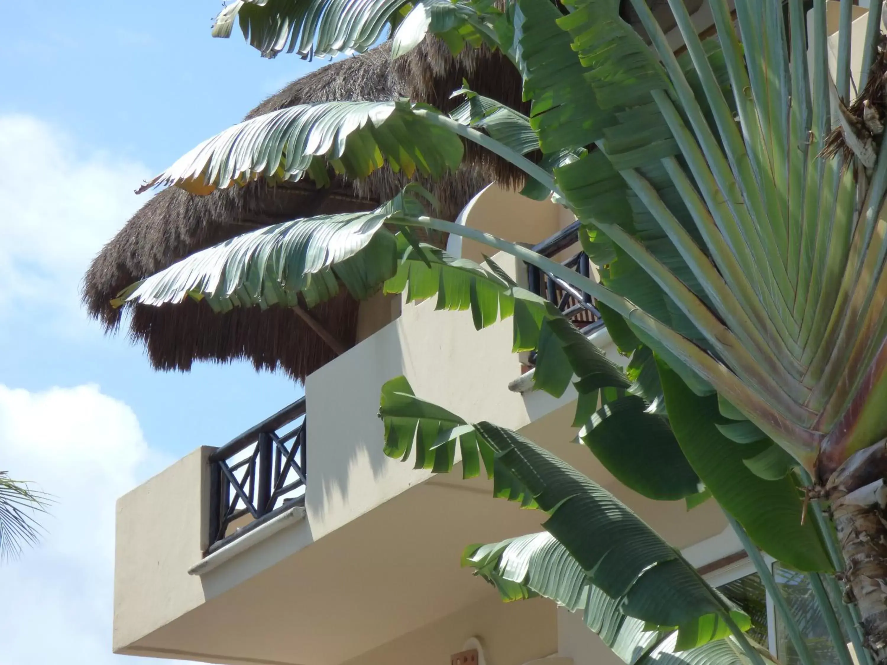 Property building in Hotel Riviera Del Sol
