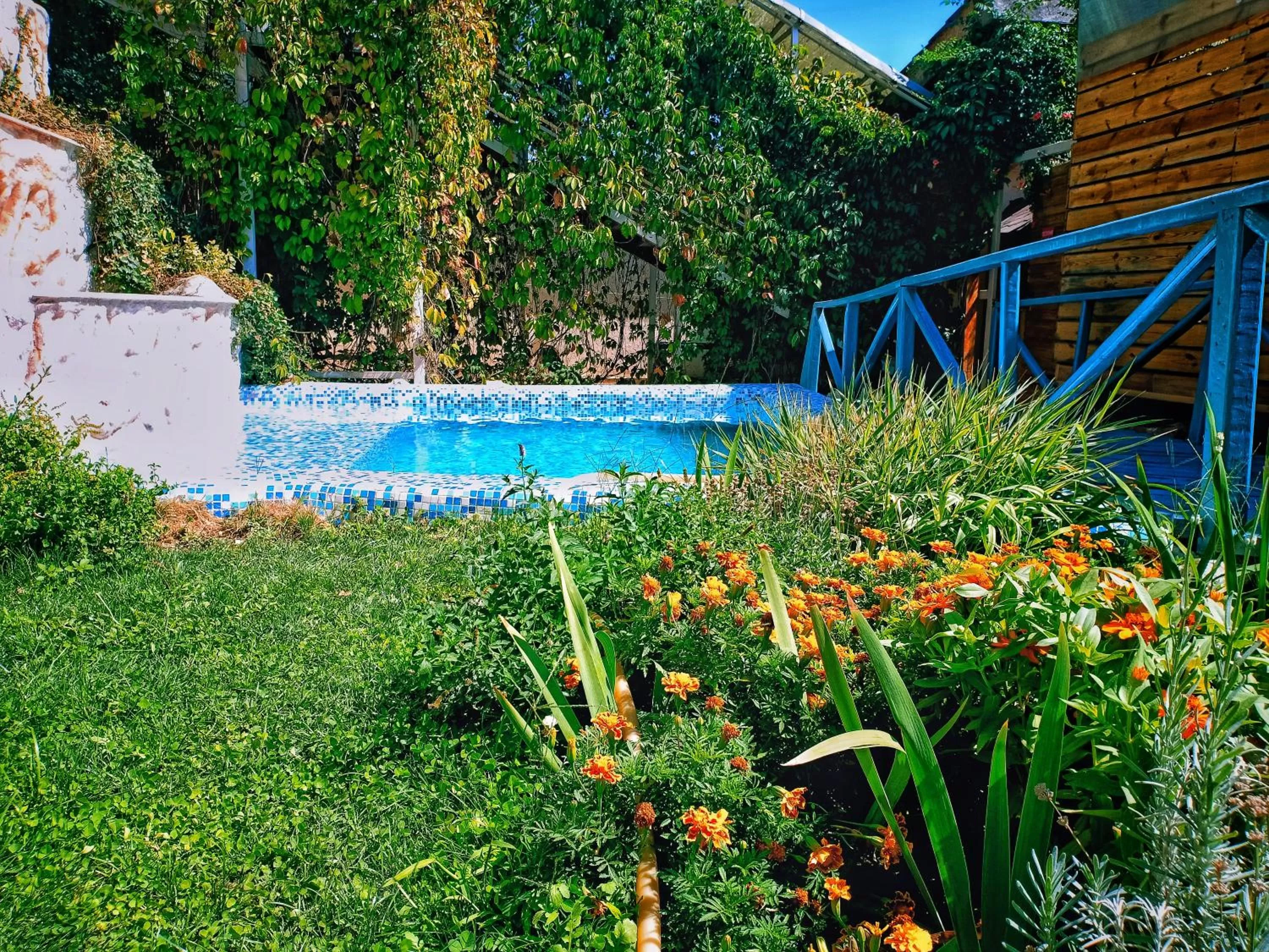Pool view, Swimming Pool in Sapar Standart Hotel