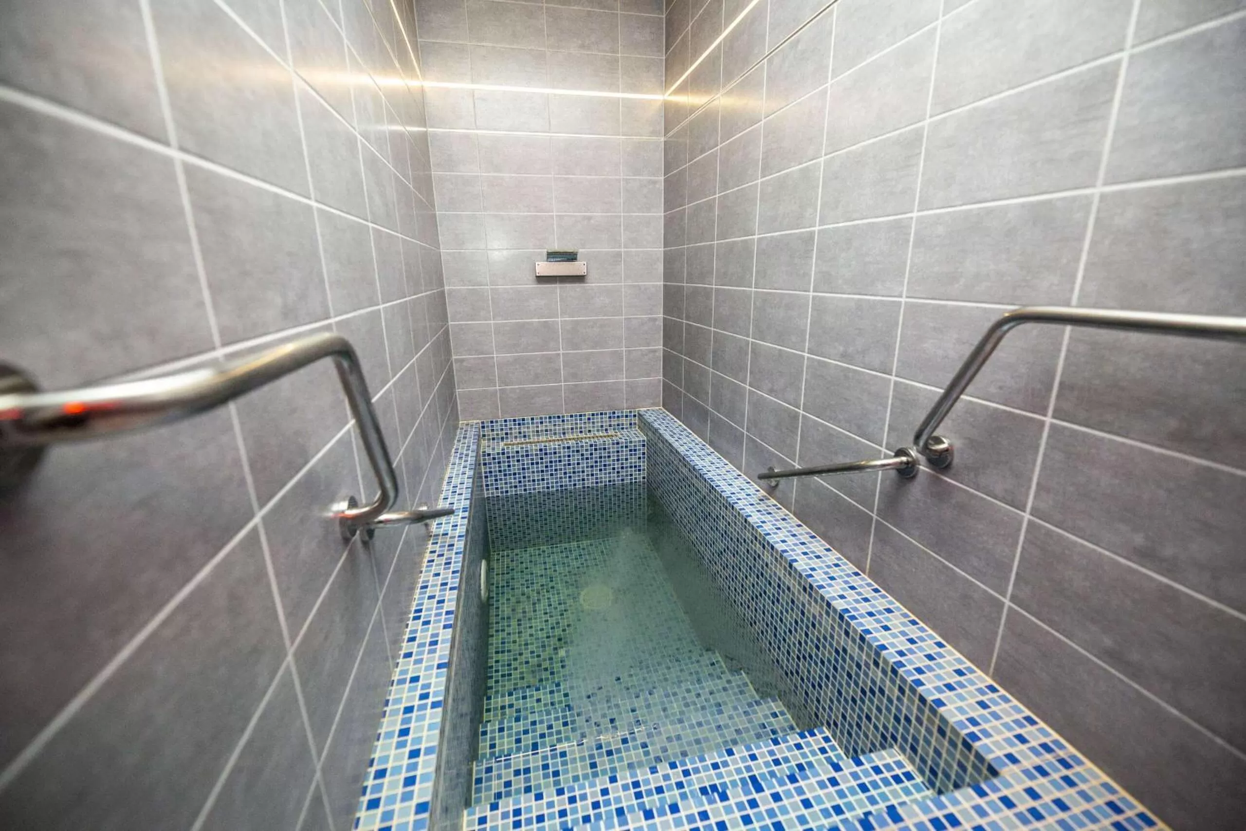 Spa and wellness centre/facilities in Hotel Aldo