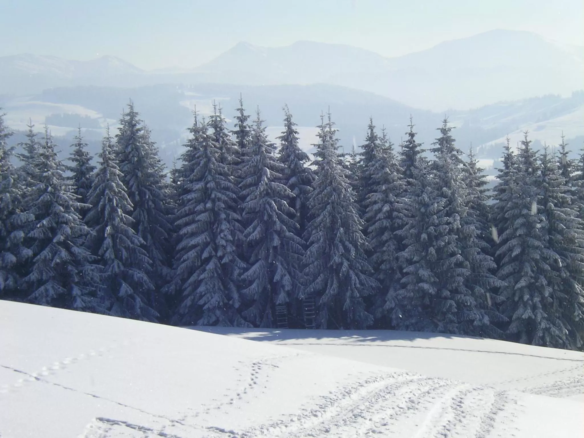 Off site in Das Allgäu