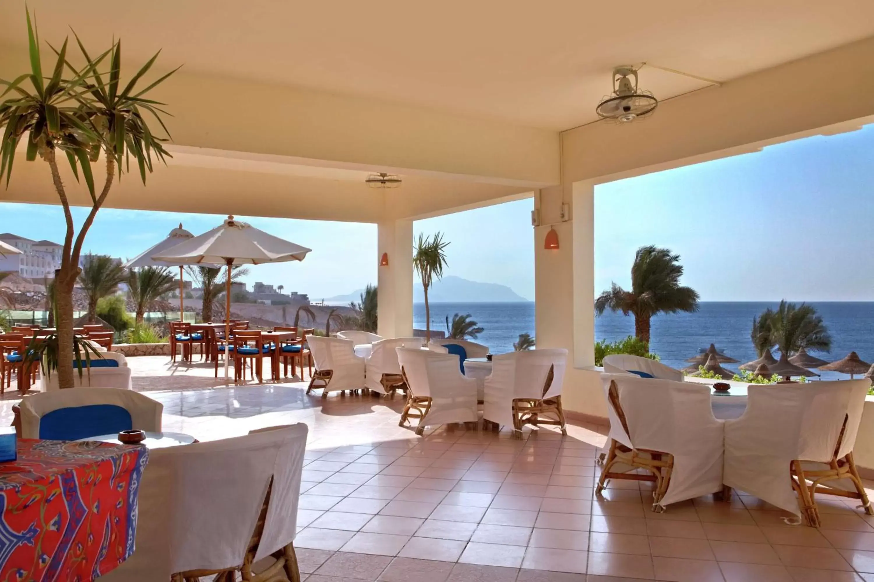 Lounge or bar, Restaurant/Places to Eat in DoubleTree by Hilton Sharks Bay Resort