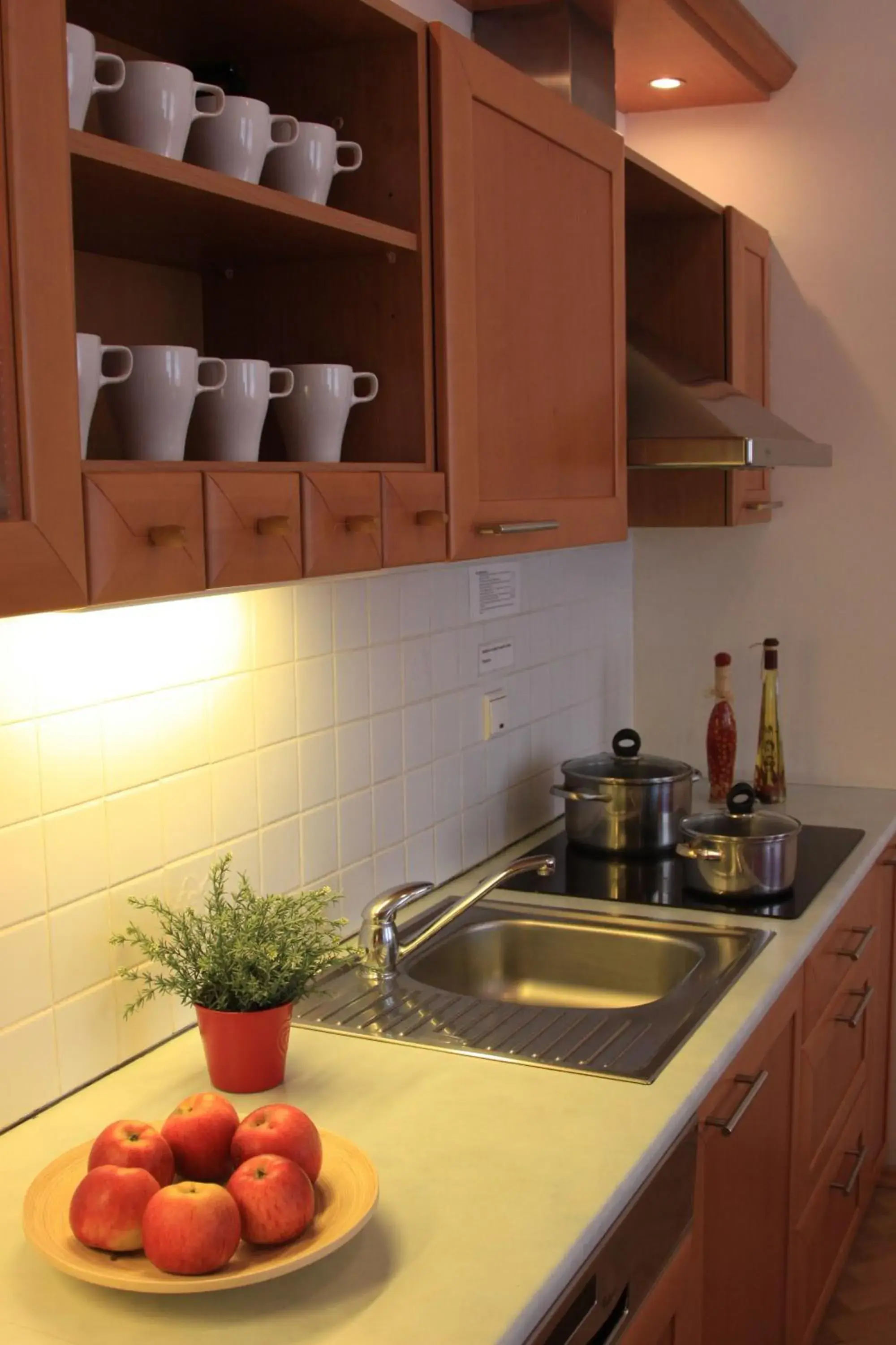 Kitchen or kitchenette, Kitchen/Kitchenette in Prague Central Residence