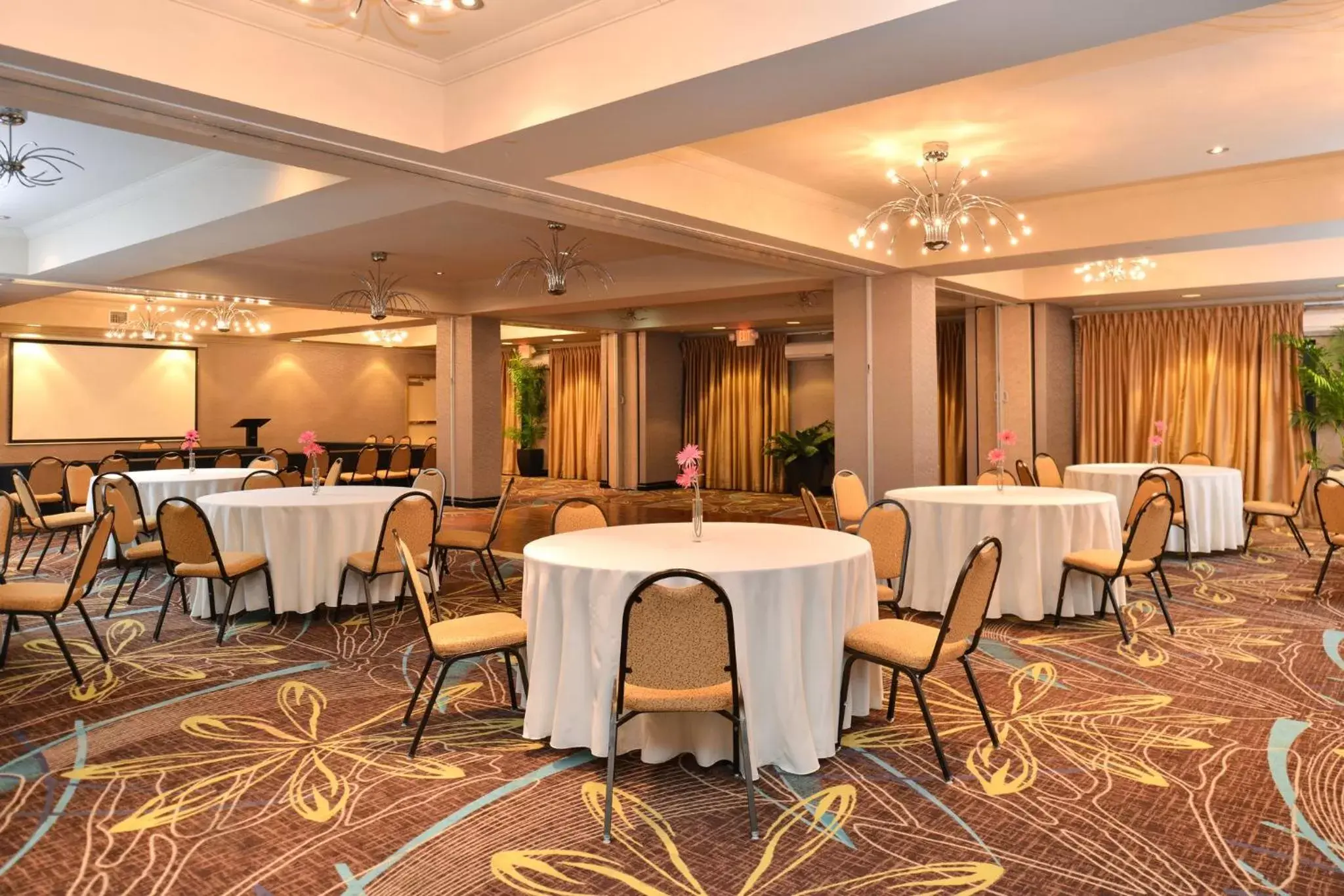 Meeting/conference room, Banquet Facilities in Holiday Inn Express Hotel & Suites Dallas South - DeSoto, an IHG Hotel