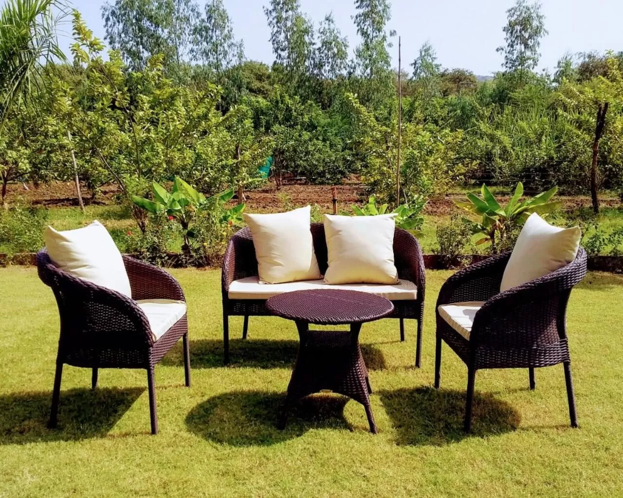 Garden in Camp Paridhi Ranthambhore, Homestay