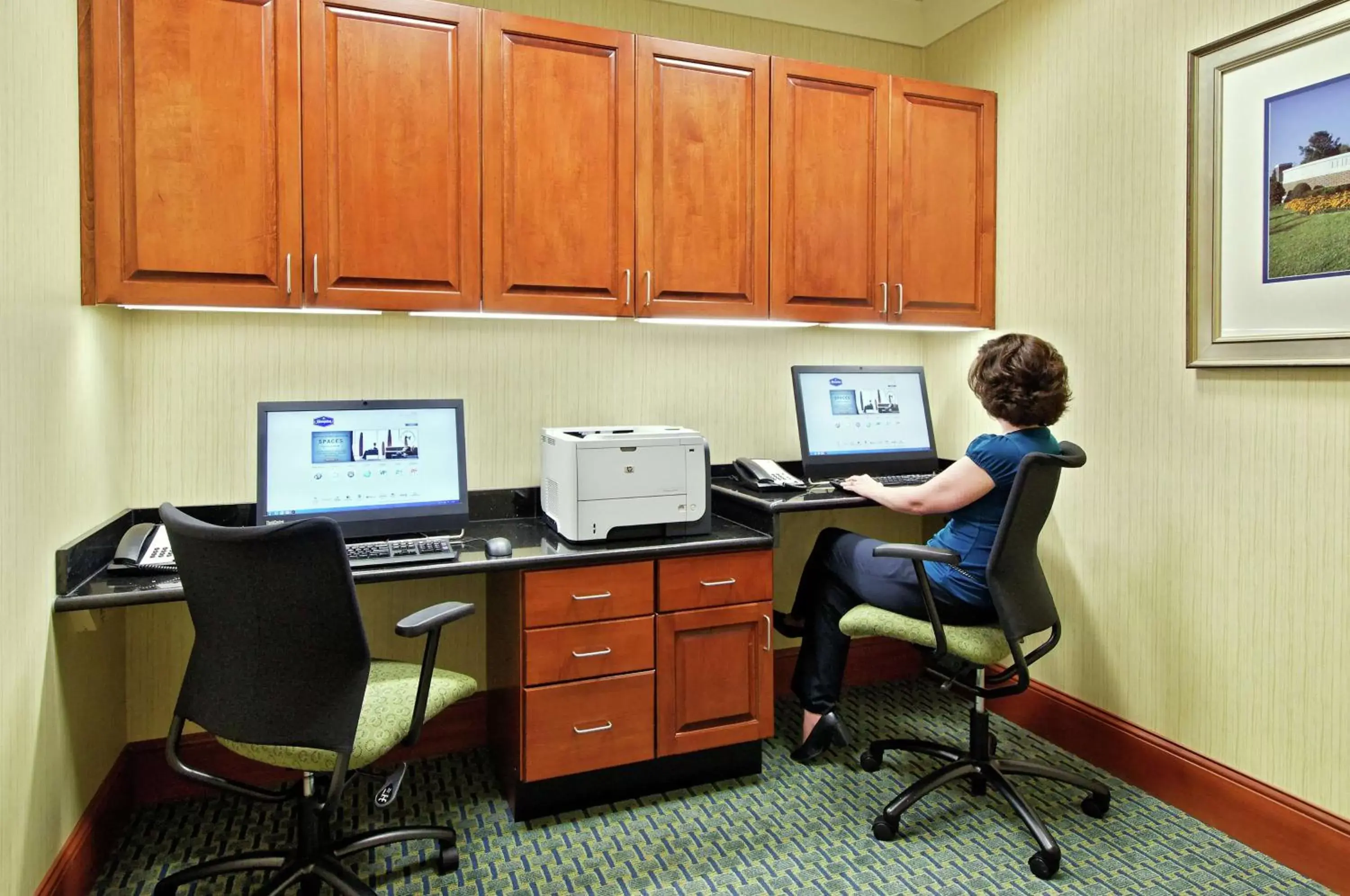 Business facilities, Business Area/Conference Room in Hampton Inn & Suites Knoxville-Turkey Creek