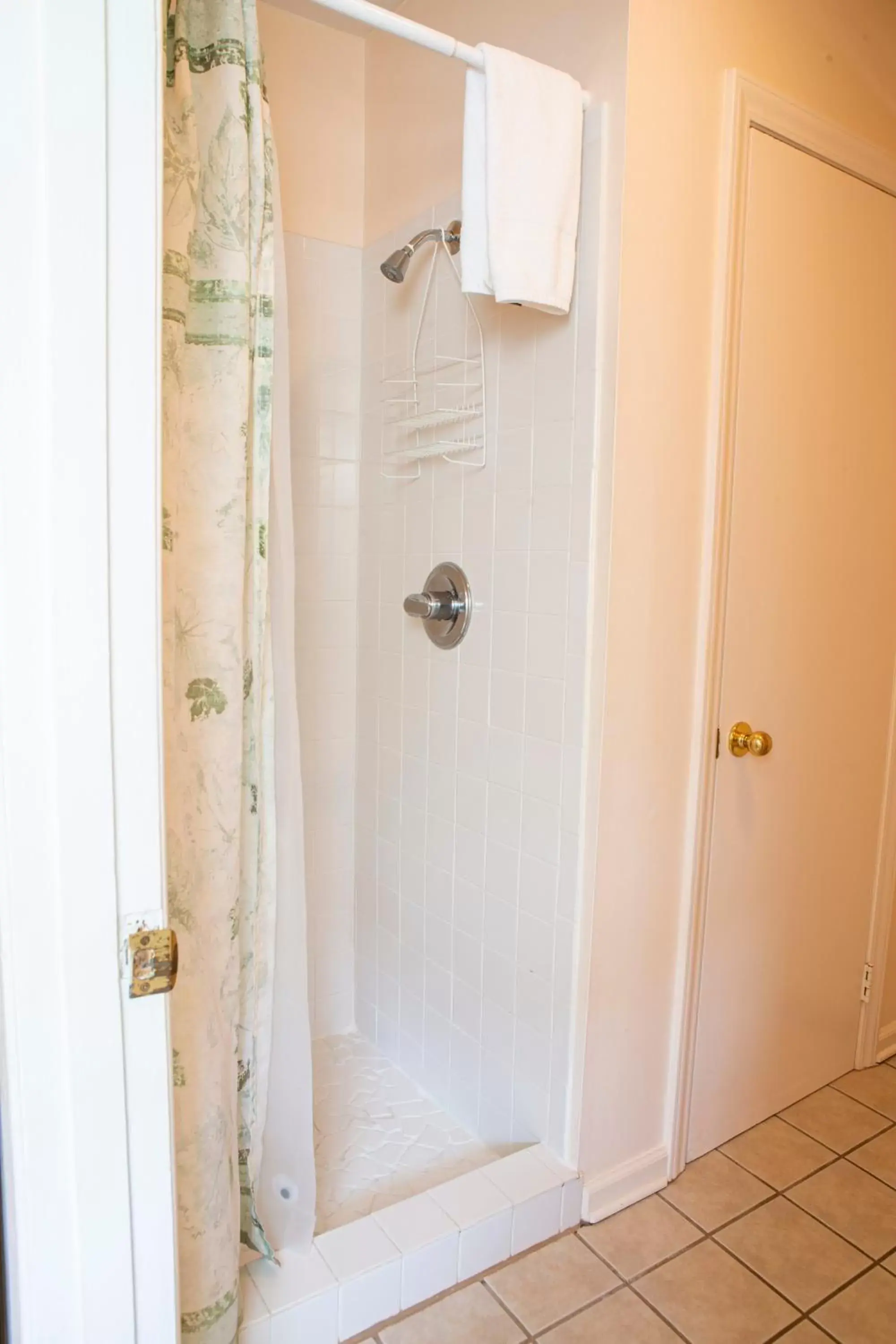 Shower, Bathroom in The Chimney Rock Inn & Cottages