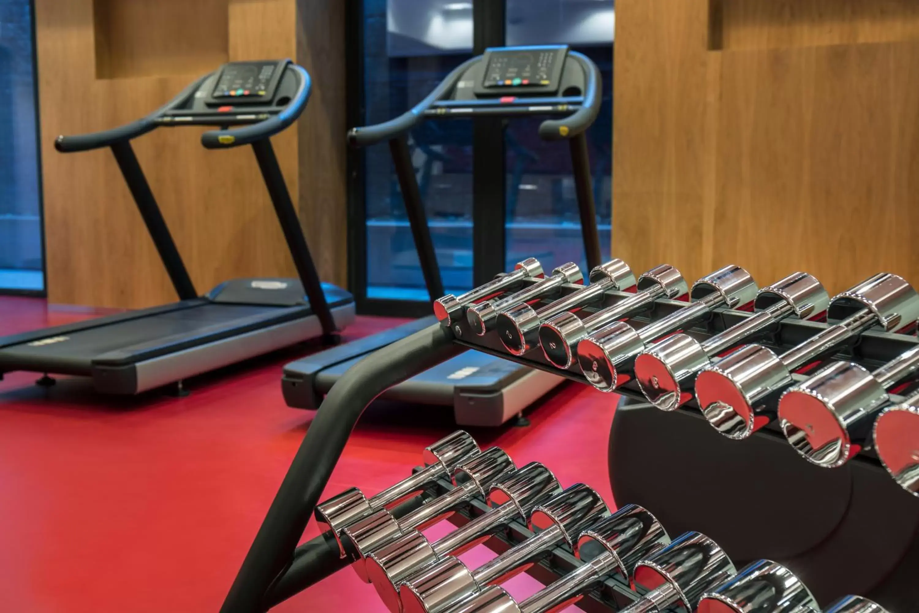 Day, Fitness Center/Facilities in Novotel Almaty City Center