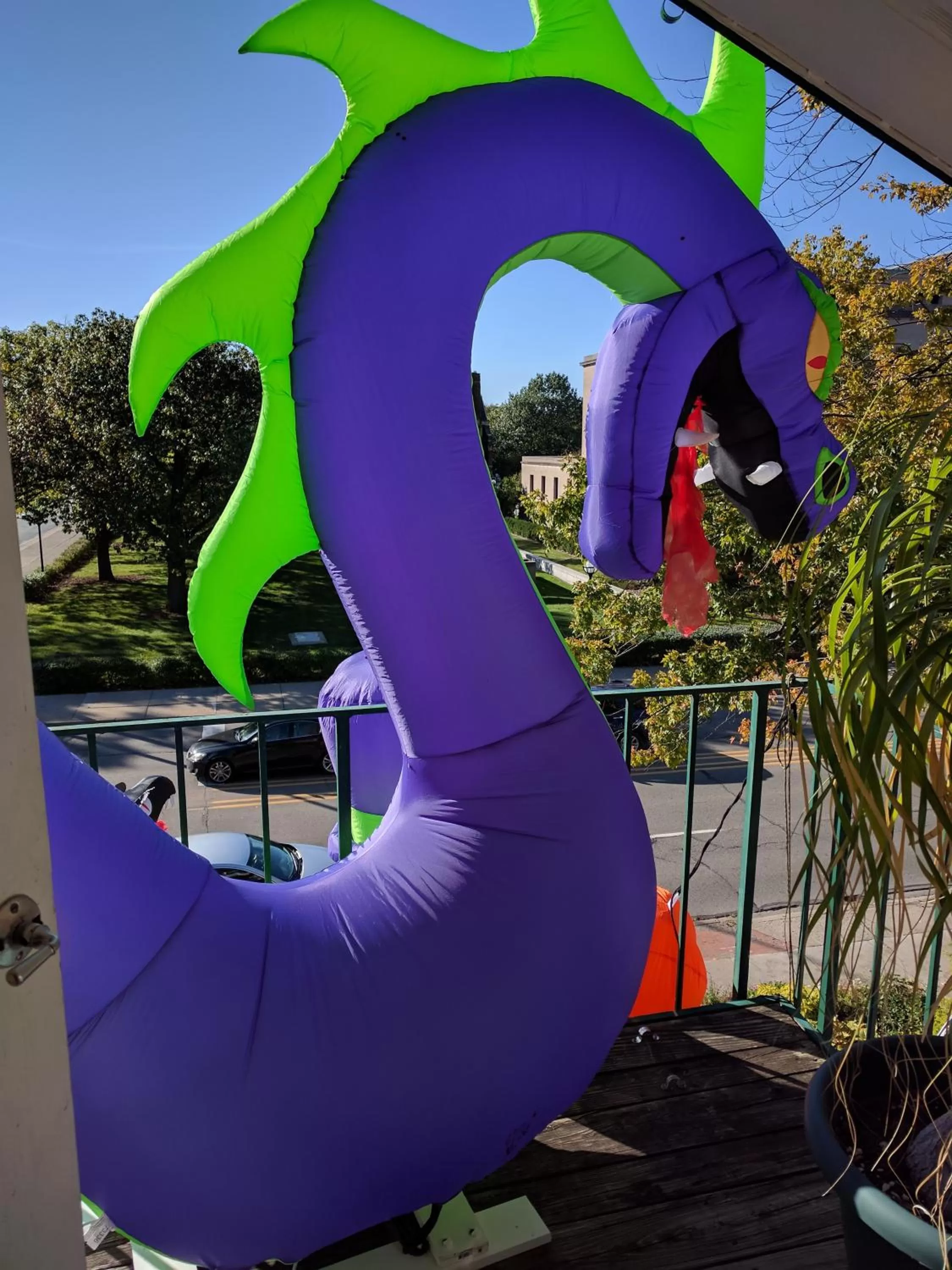 Water Park in Ann Arbor Bed and Breakfast