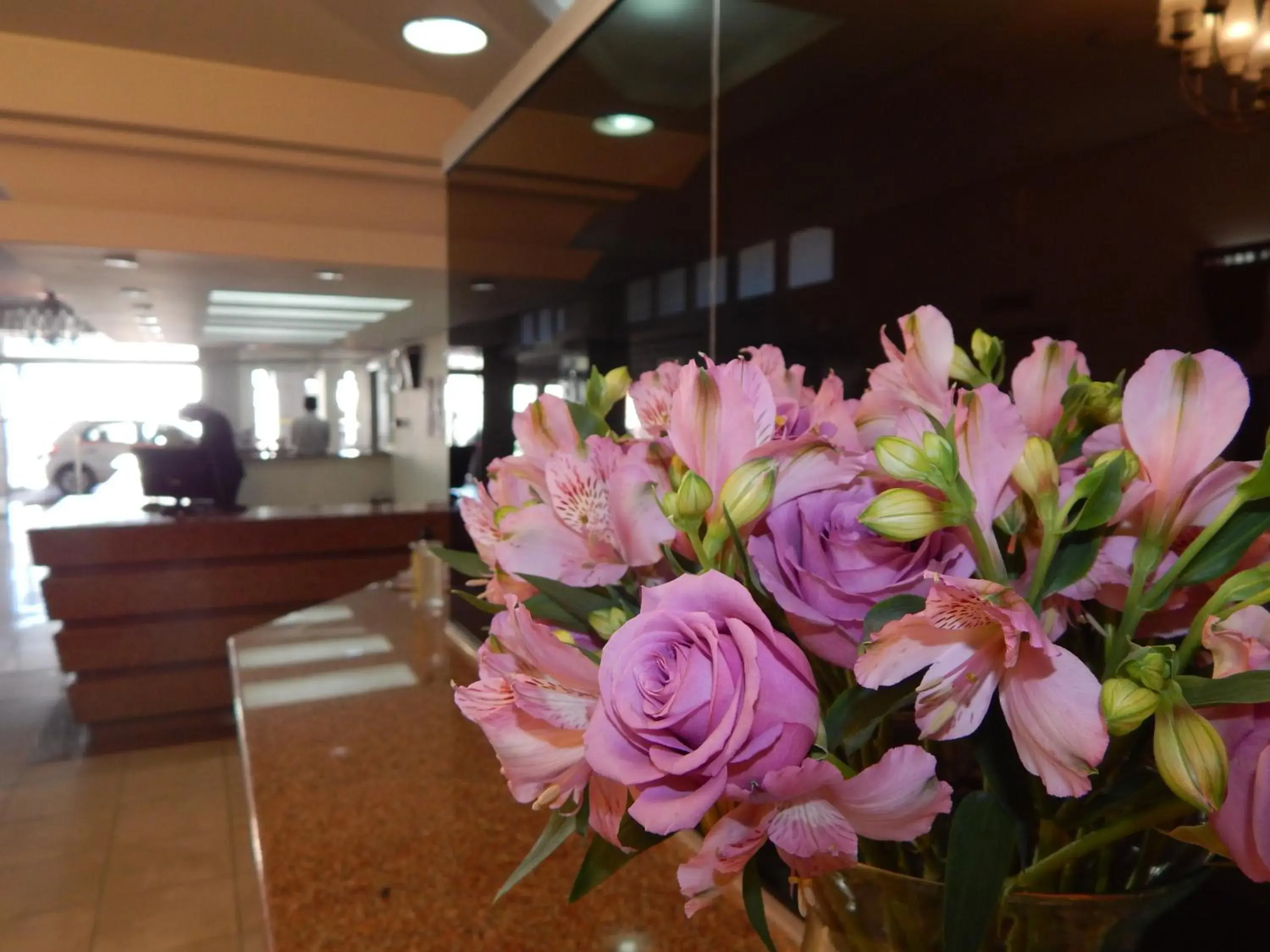 Lobby or reception, Lobby/Reception in ALTADOMO HOTEL