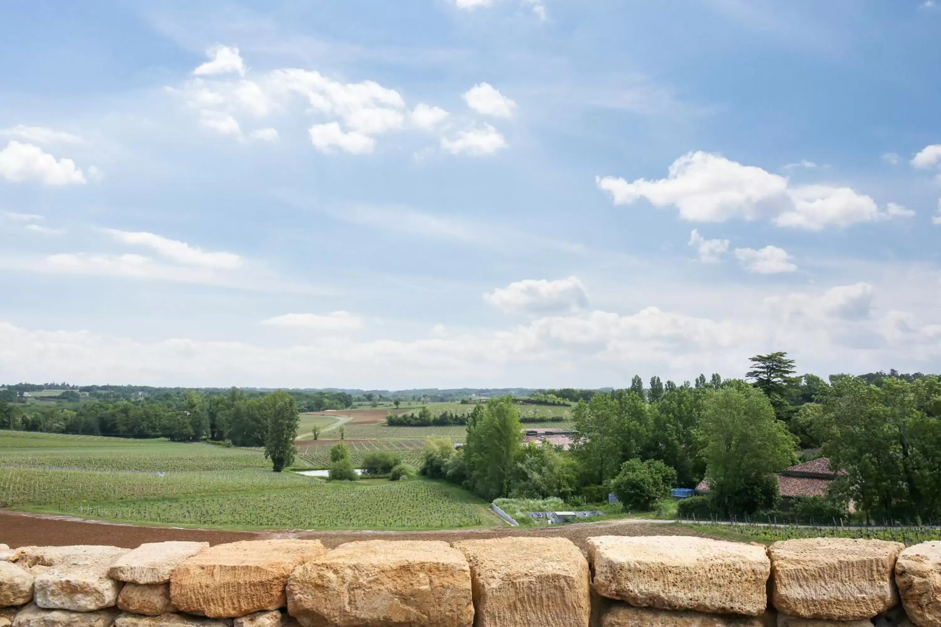 Garden in Le logis de Valandraud