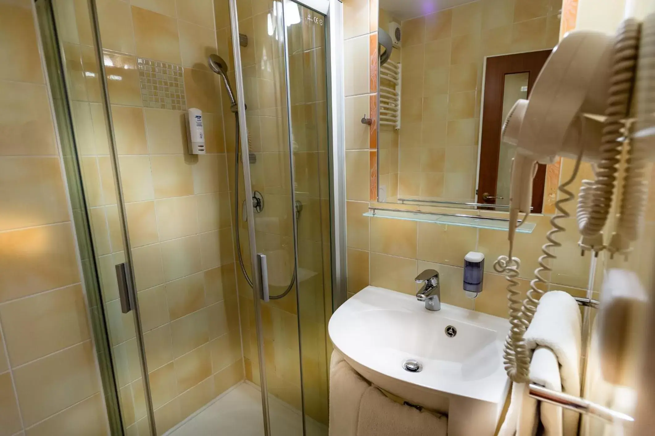Shower, Bathroom in Hotel Petr