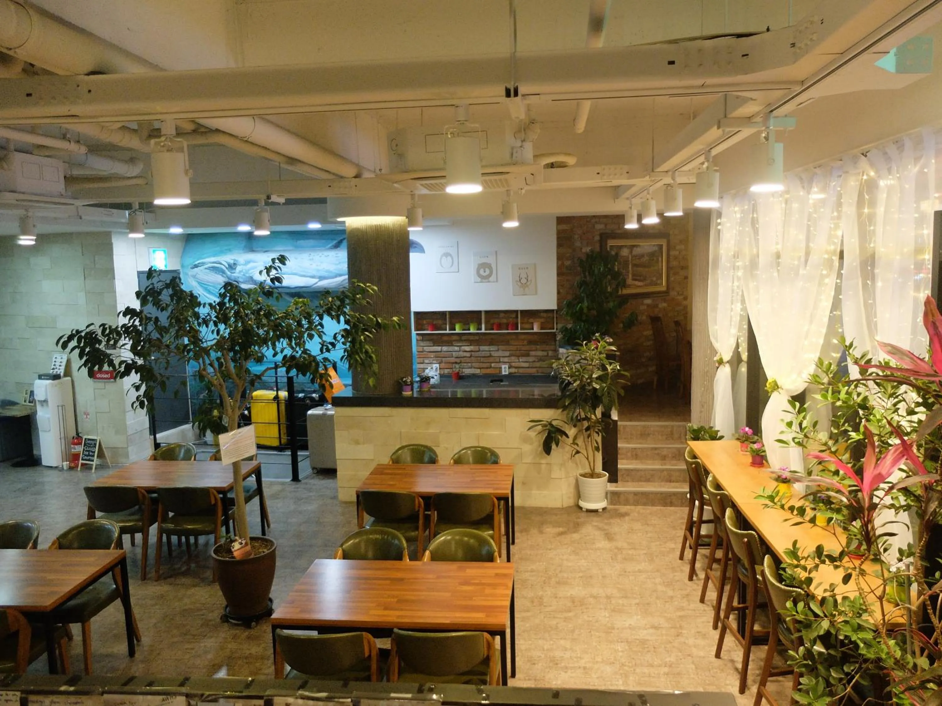 Communal lounge/ TV room in Ehwa In Myeongdong