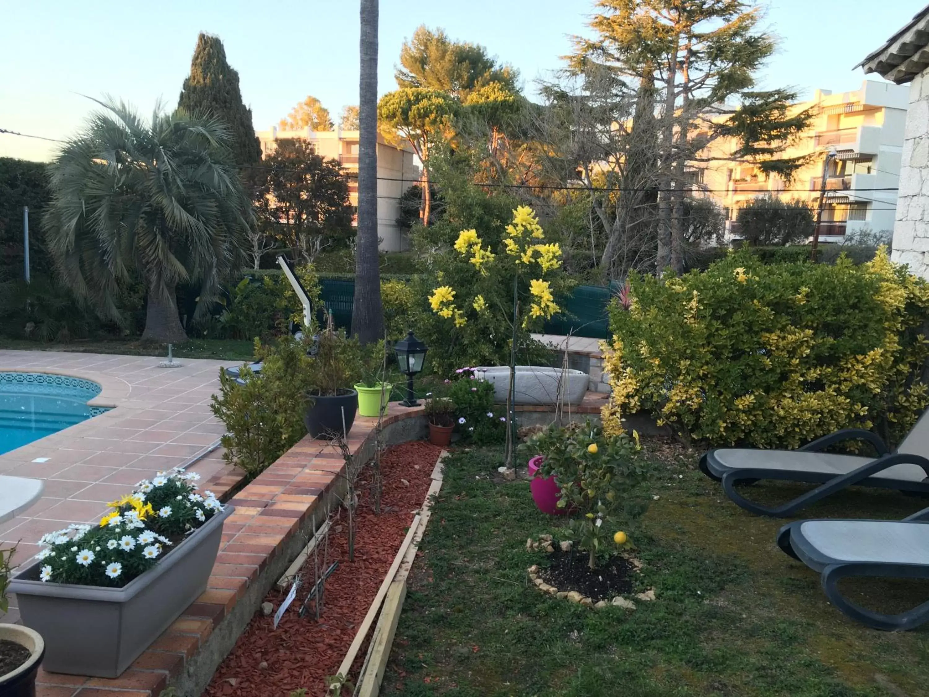 Garden, Pool View in Villa Alessia