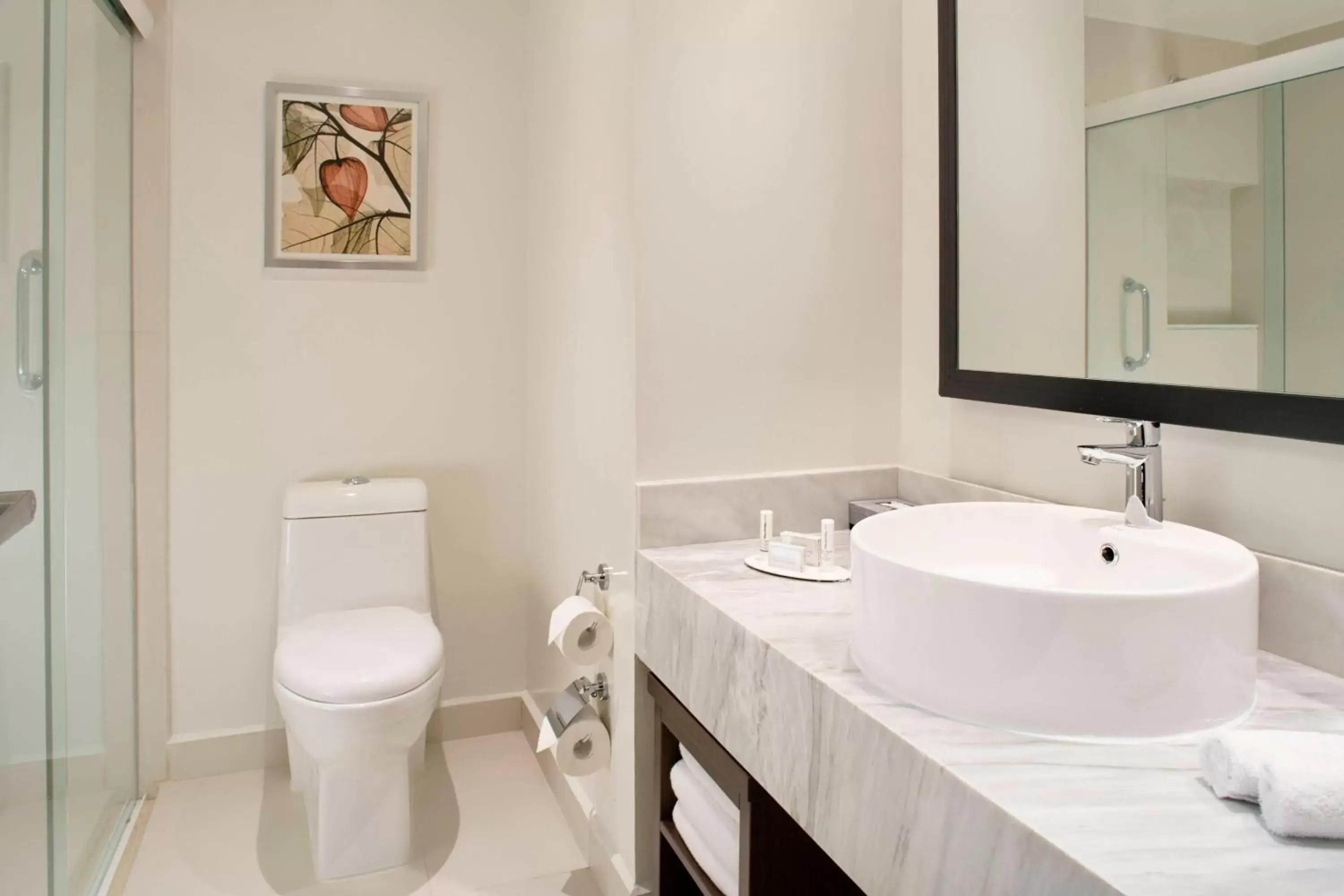 Bathroom in Fairfield Inn & Suites by Marriott Villahermosa Tabasco