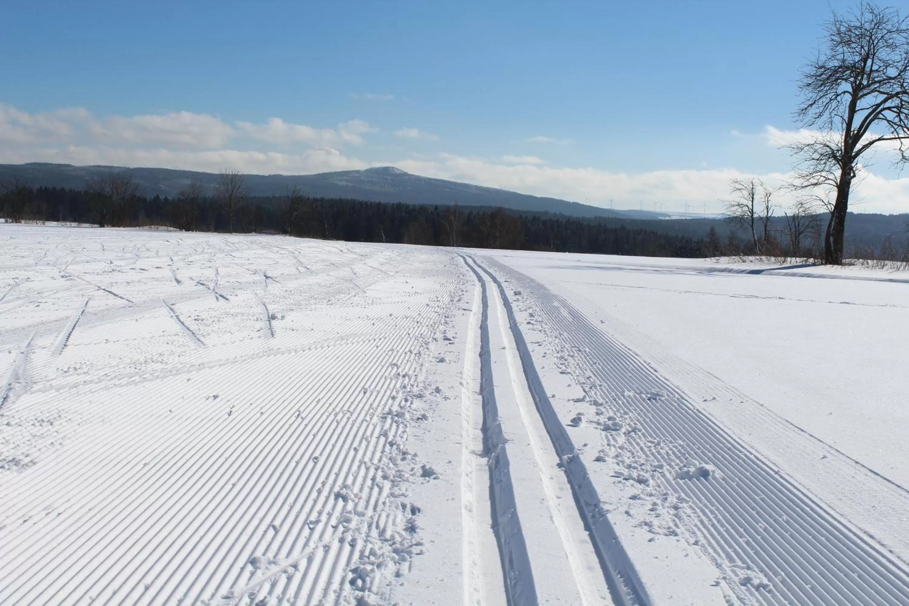 Skiing in Hotel Heilbrunnen