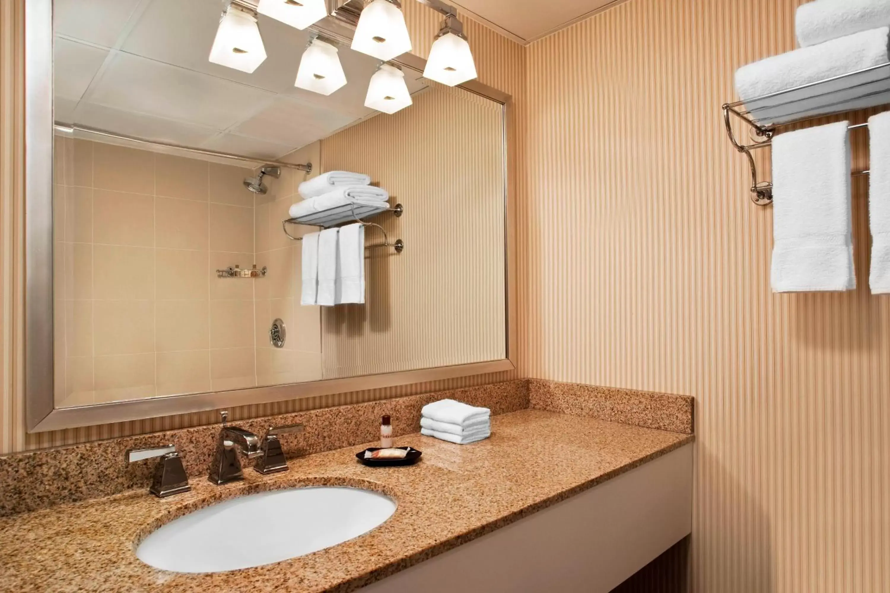 Bathroom in Sheraton Framingham Hotel & Conference Center