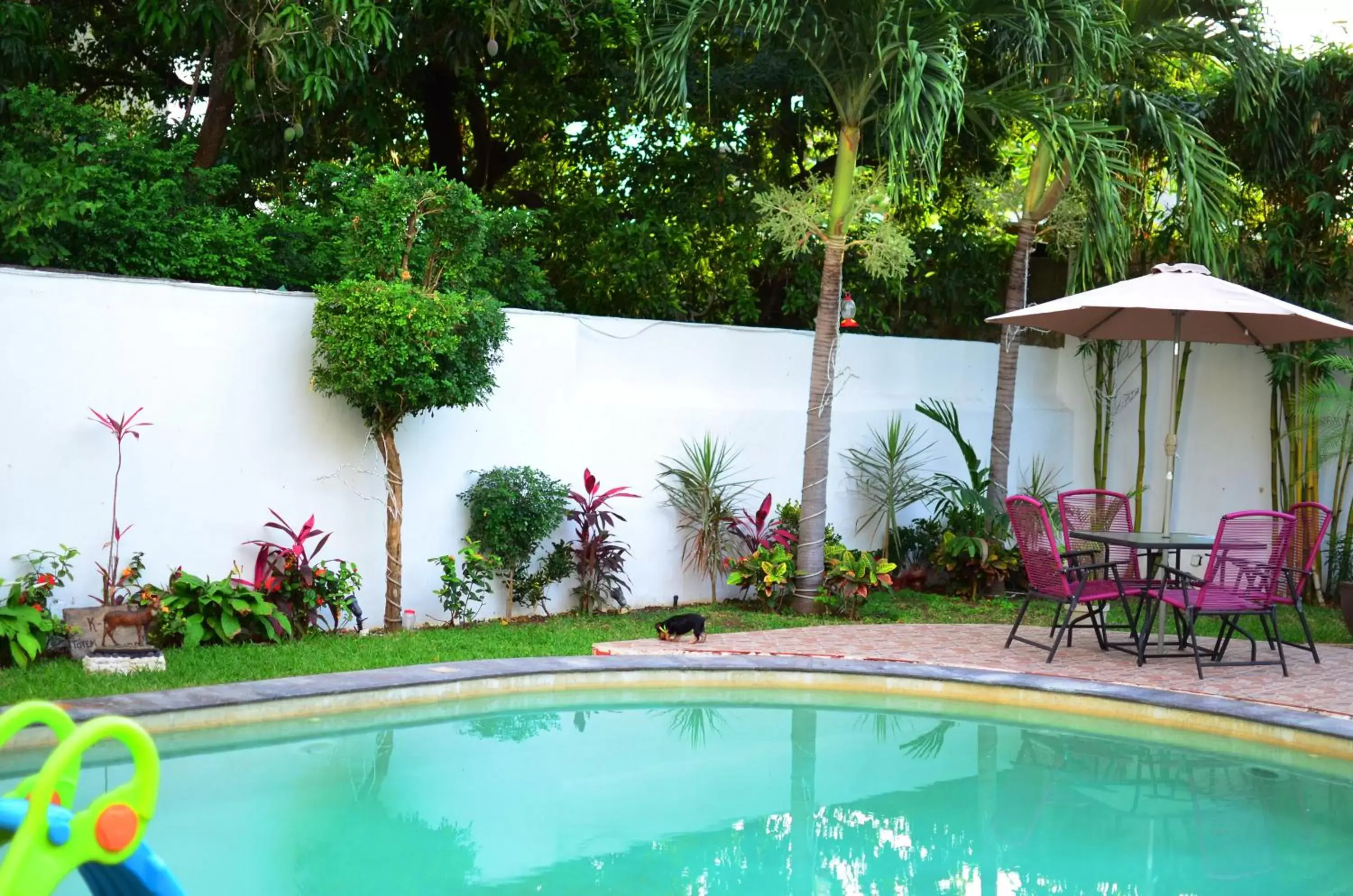 Swimming pool in Hotel Real Mercedes