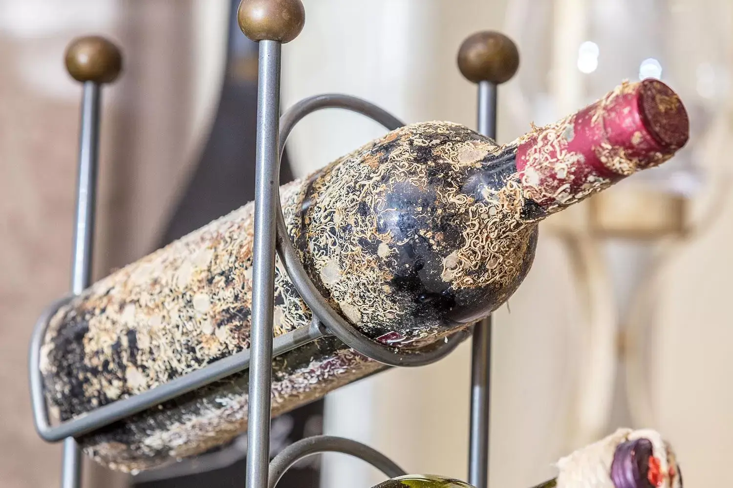 Restaurant/places to eat in Hotel Baja Romantica Restaurant/places to eat in Hotel Baja Romantica