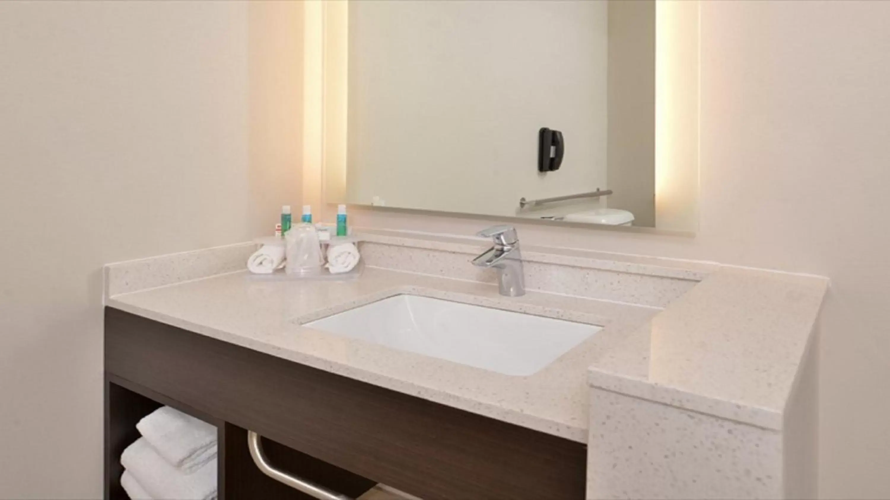 Bathroom in Holiday Inn Express & Suites - Parkersburg East, an IHG Hotel