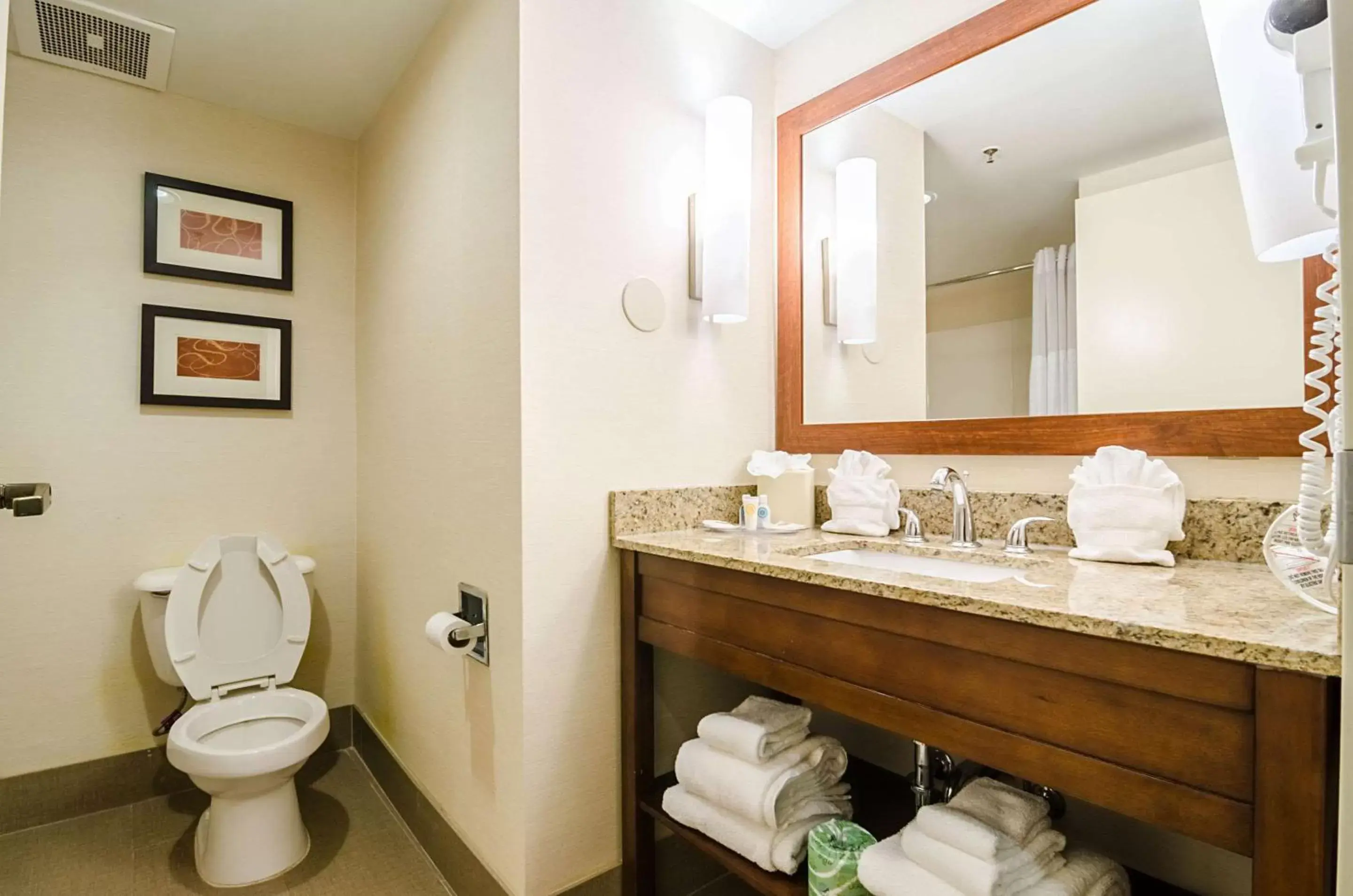 Bathroom in Comfort Suites Innsbrook - Short Pump