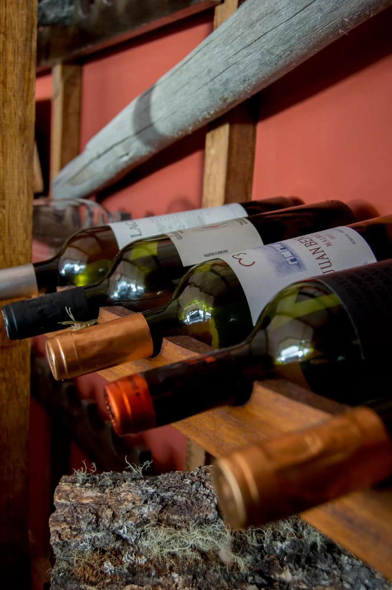 Restaurant/places to eat in Hosteria La Estepa