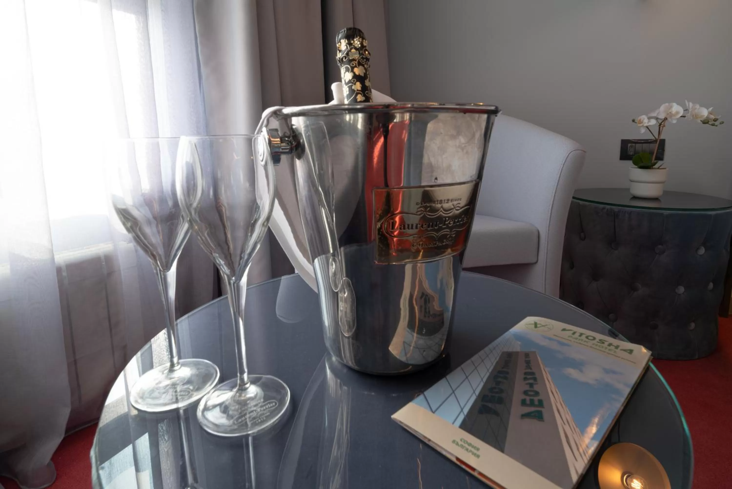 View (from property/room) in Vitosha Park Hotel - Free Indoor Pool & Parking