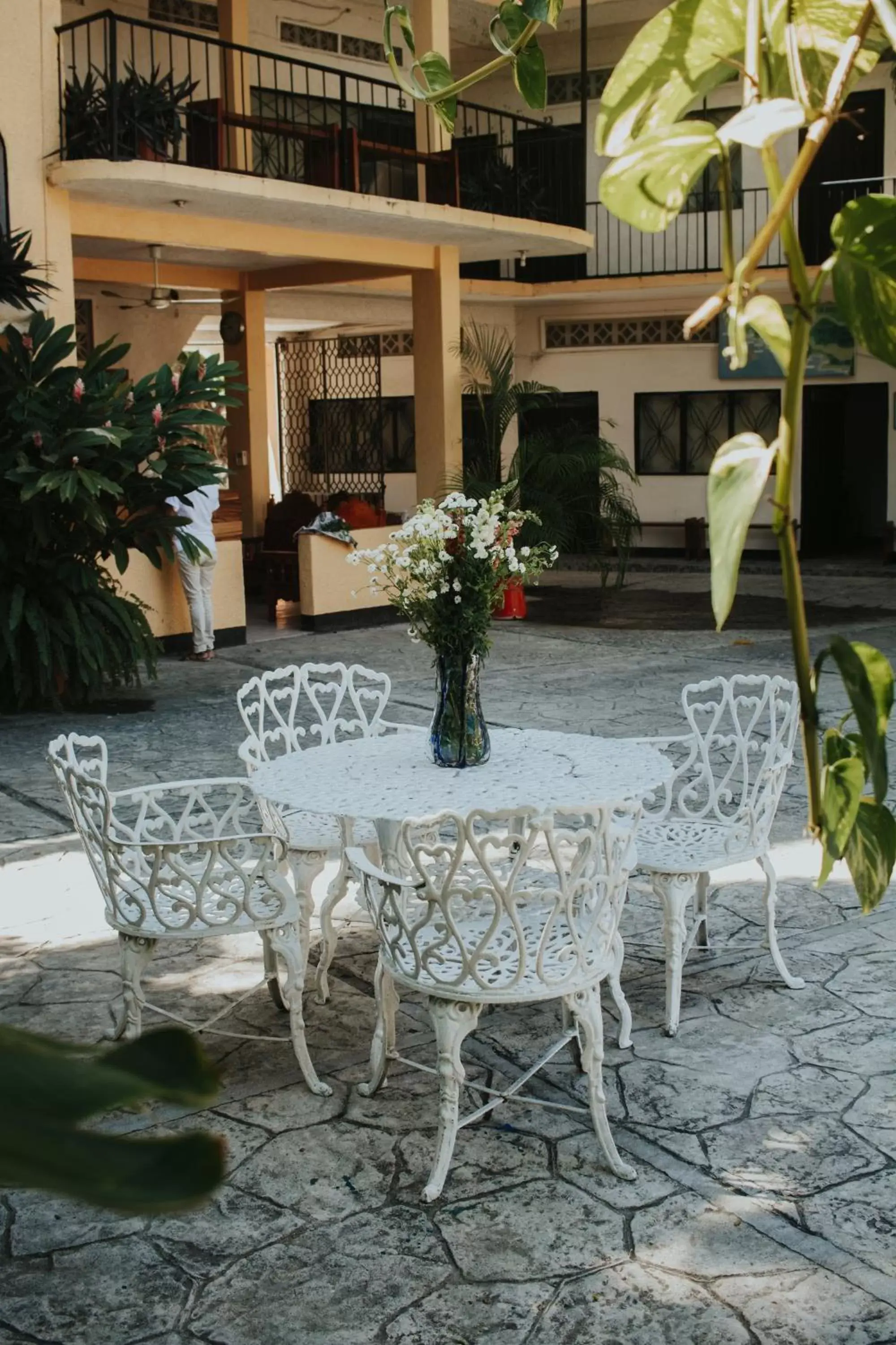 Garden view in Hotel Posada San Jose