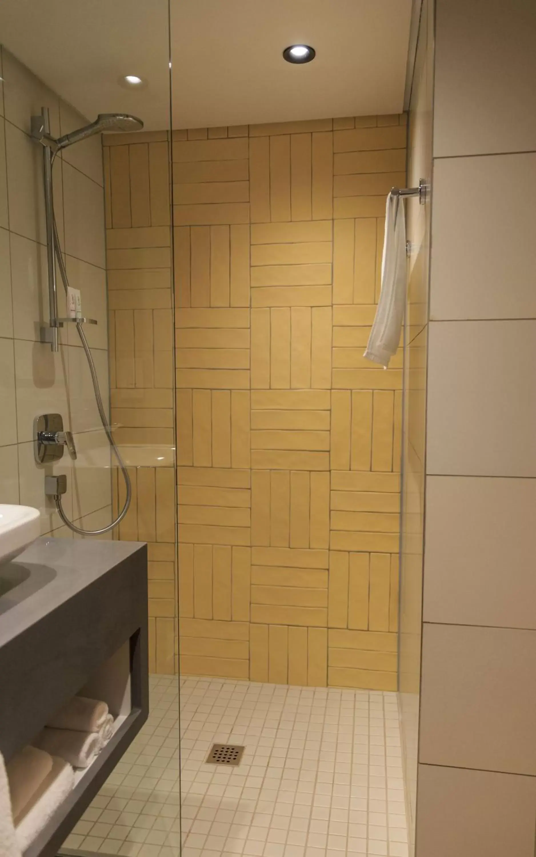Shower, Bathroom in Holiday Inn - Lusaka, an IHG Hotel