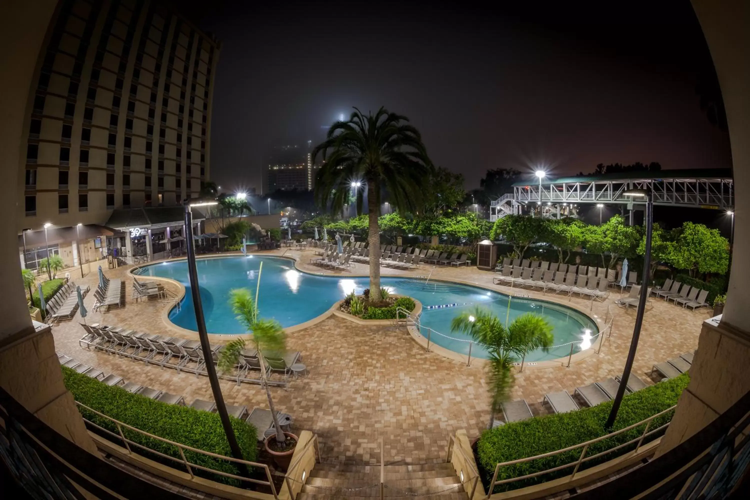 Night, Swimming Pool in Rosen Plaza Hotel Orlando Convention Center