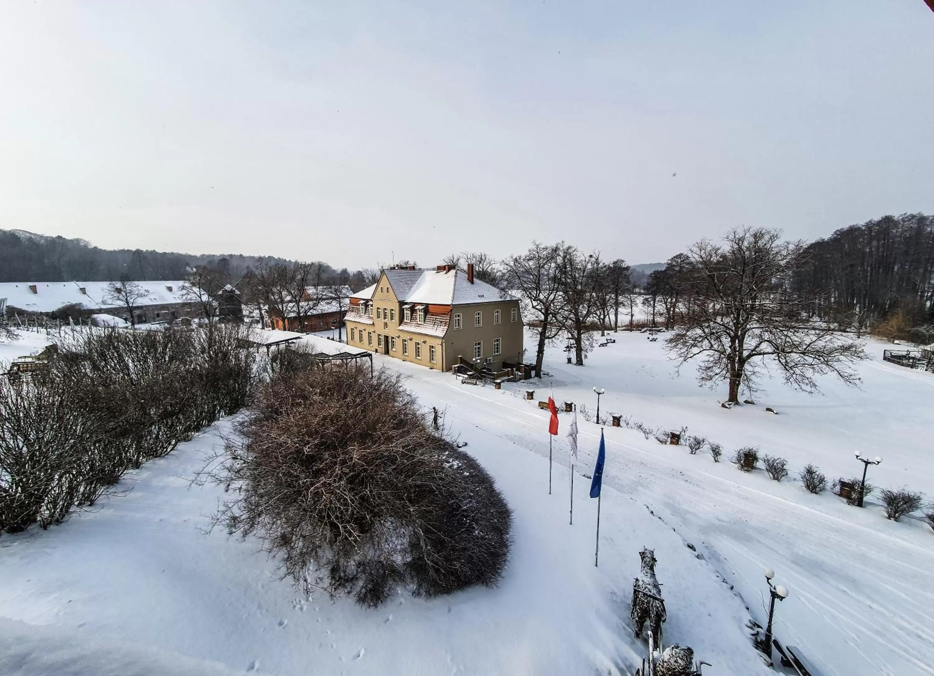 View (from property/room) in Olandia