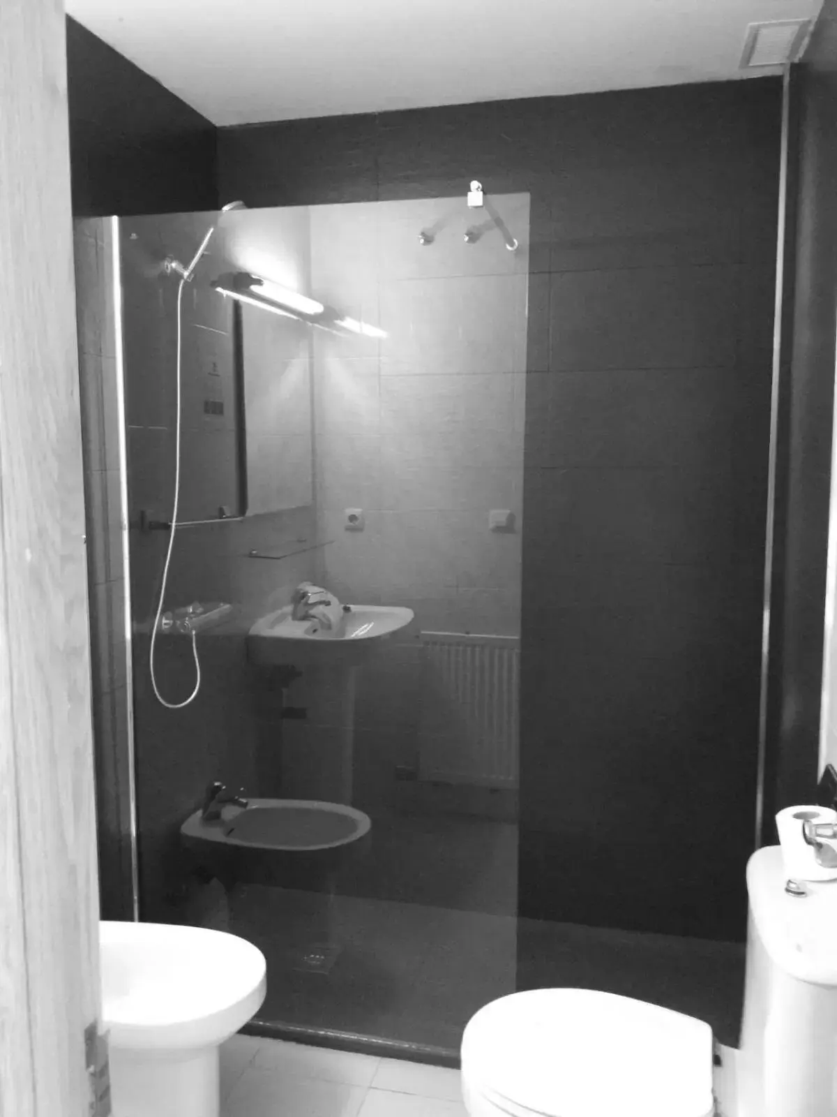 Shower, Bathroom in Hotel Avenida del Sotillo