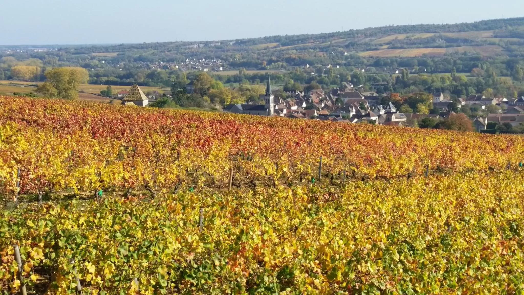 Logis Hôtel de la Tête Noire