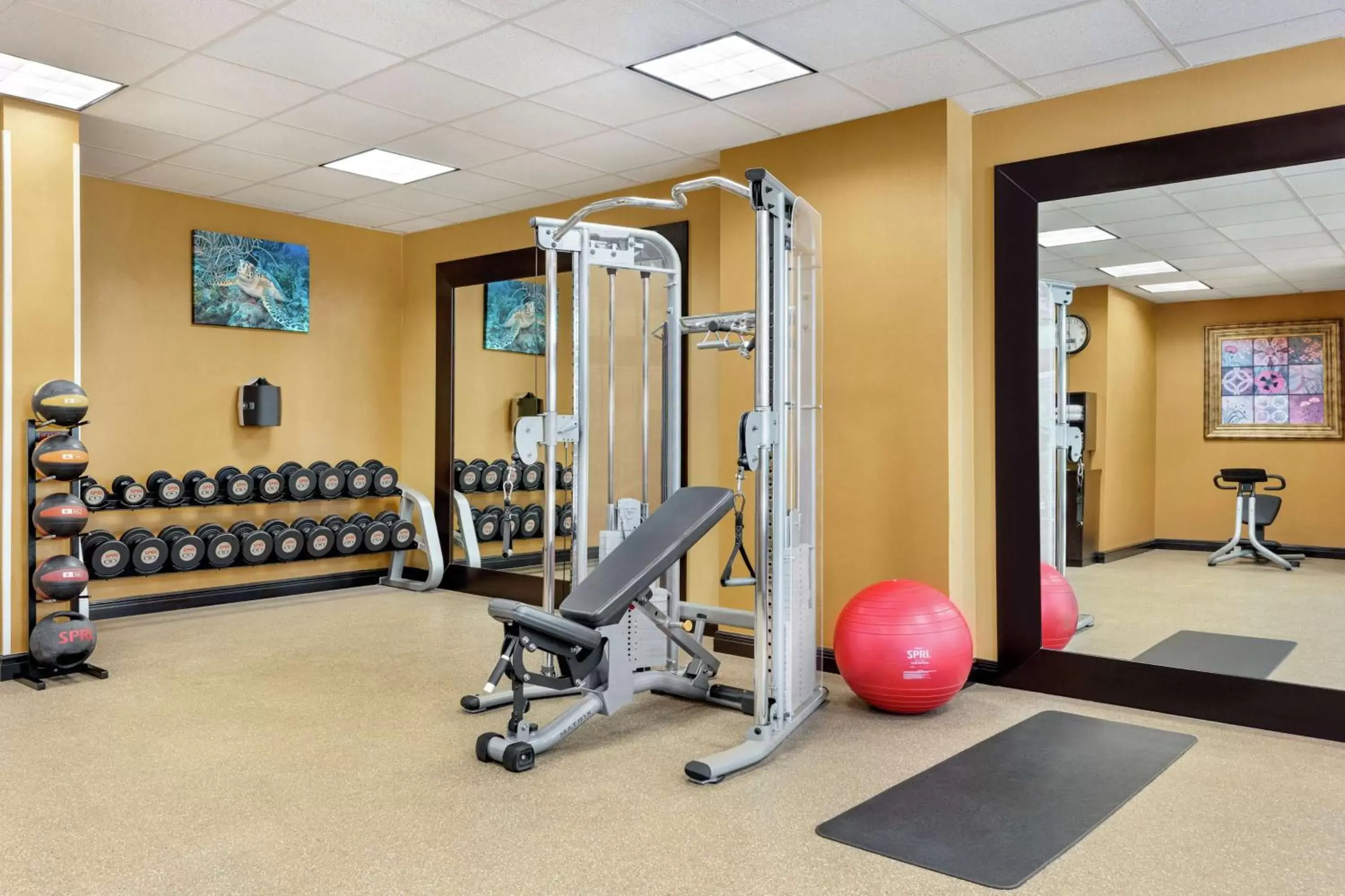 Fitness centre/facilities, Fitness Center/Facilities in Hilton Garden Inn South Padre Island