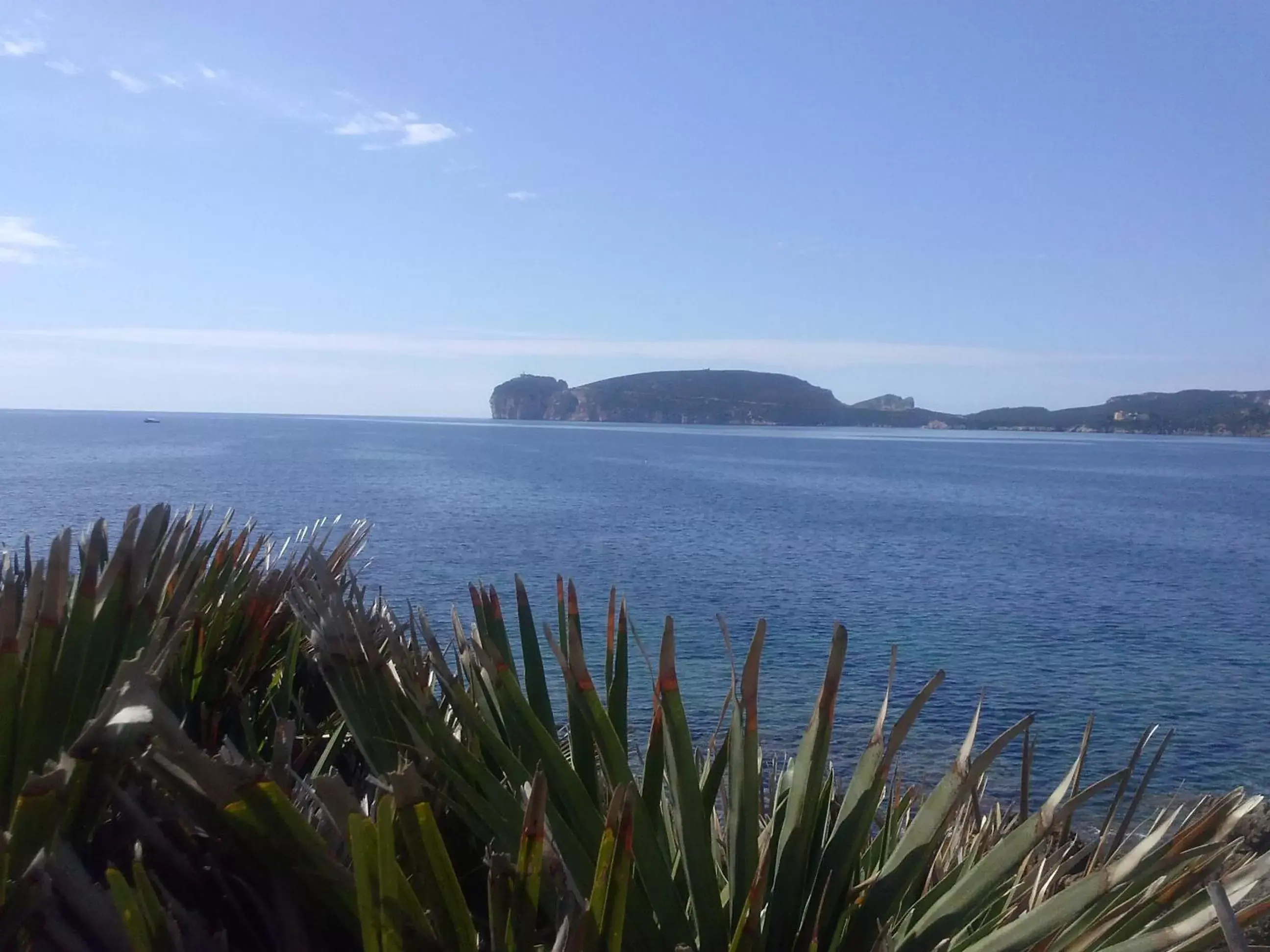 Sea view in B&B La Casa Bianca di Porto Conte