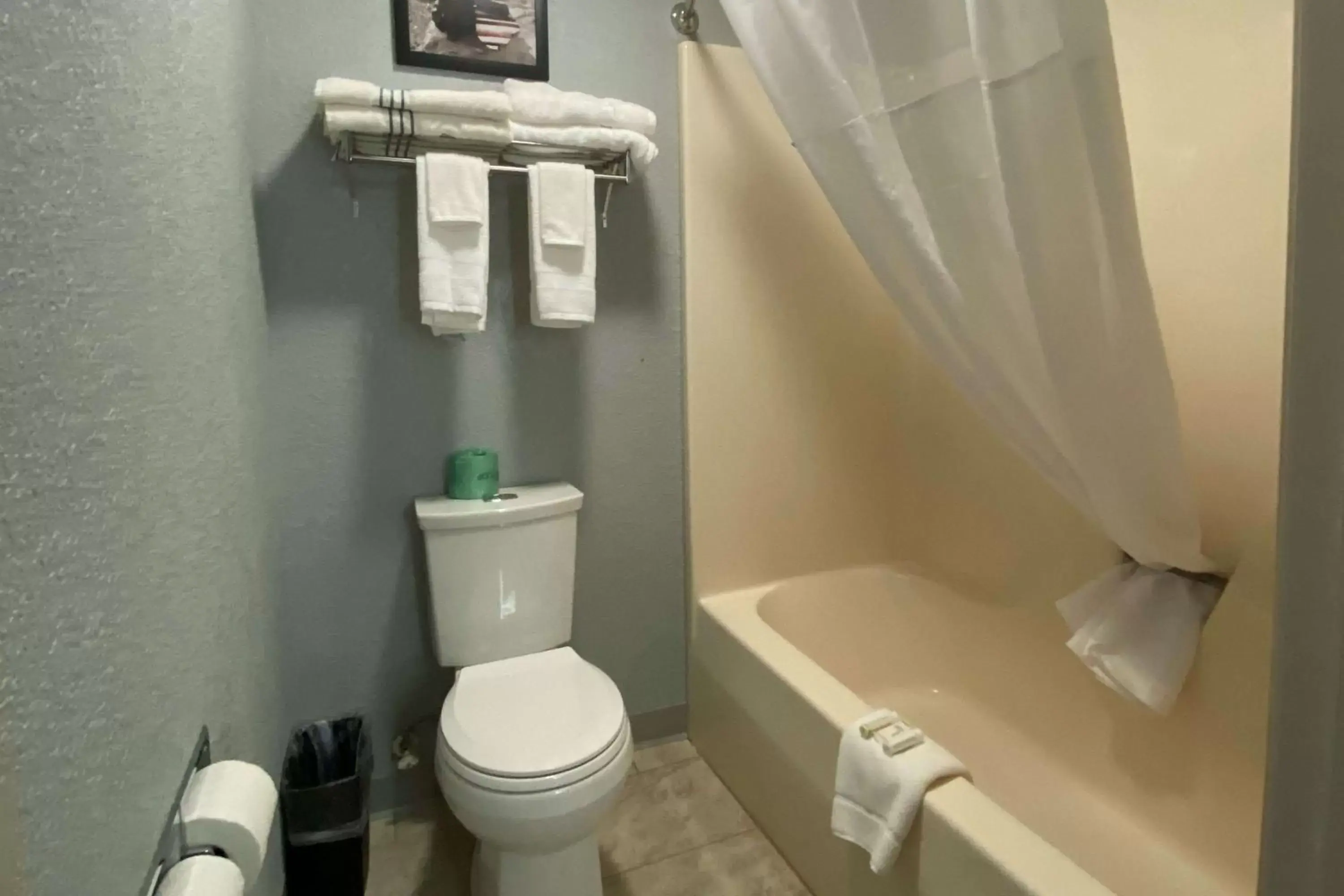 Bedroom, Bathroom in AmericInn by Wyndham Williamsburg