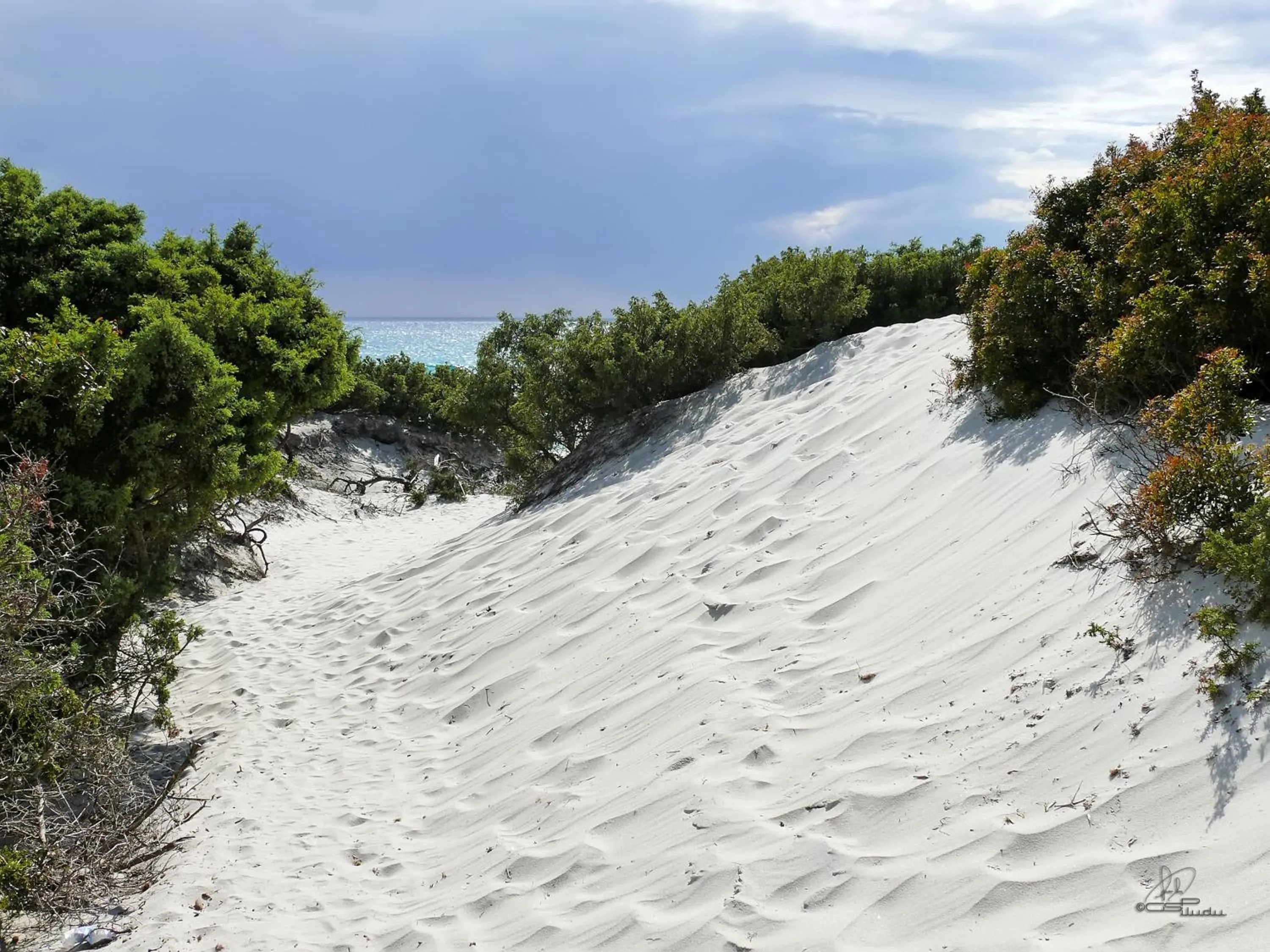 Beach in Hotel Fiore Di Maggio