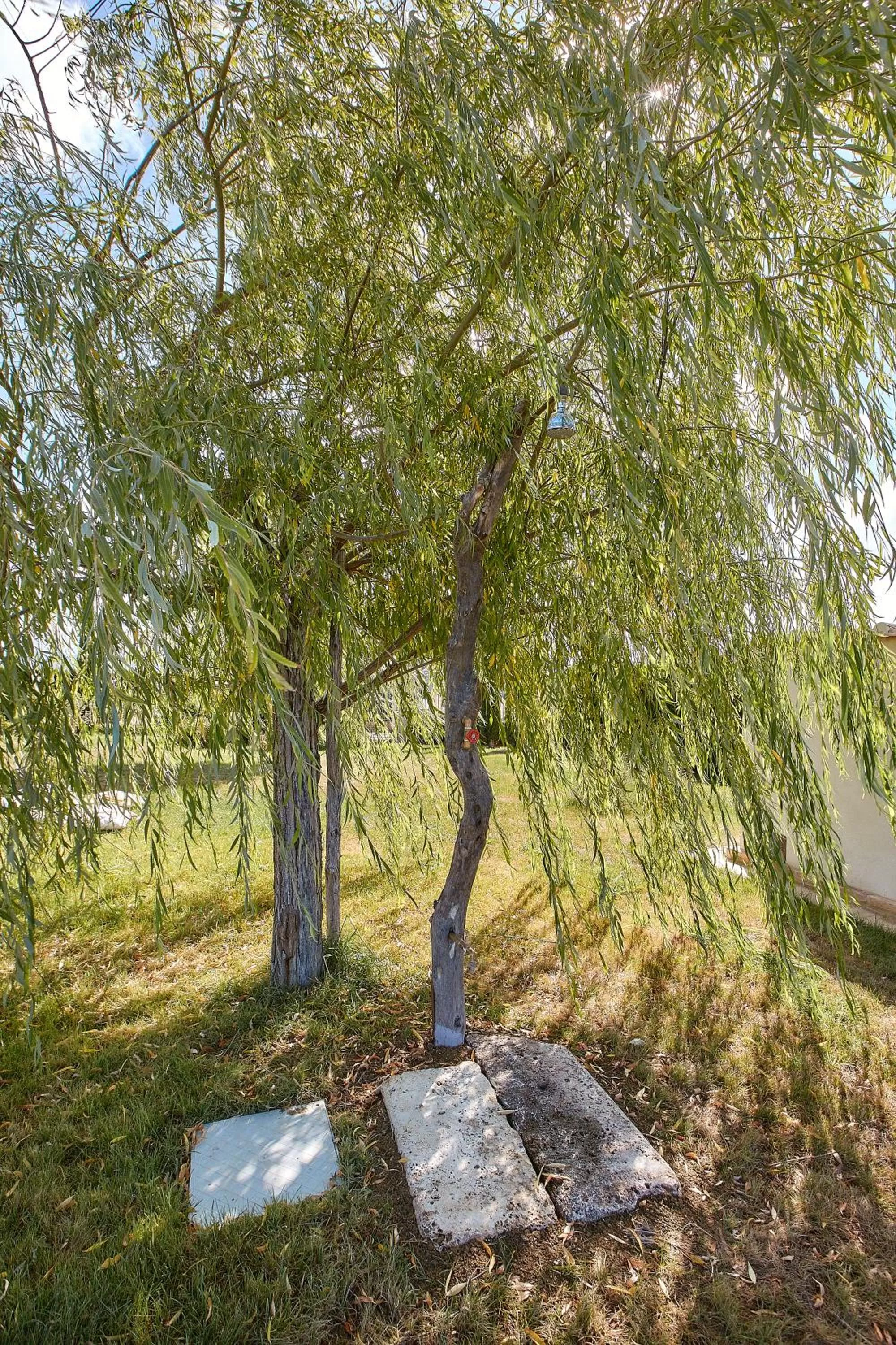 Swimming pool in Podere San Giuseppe