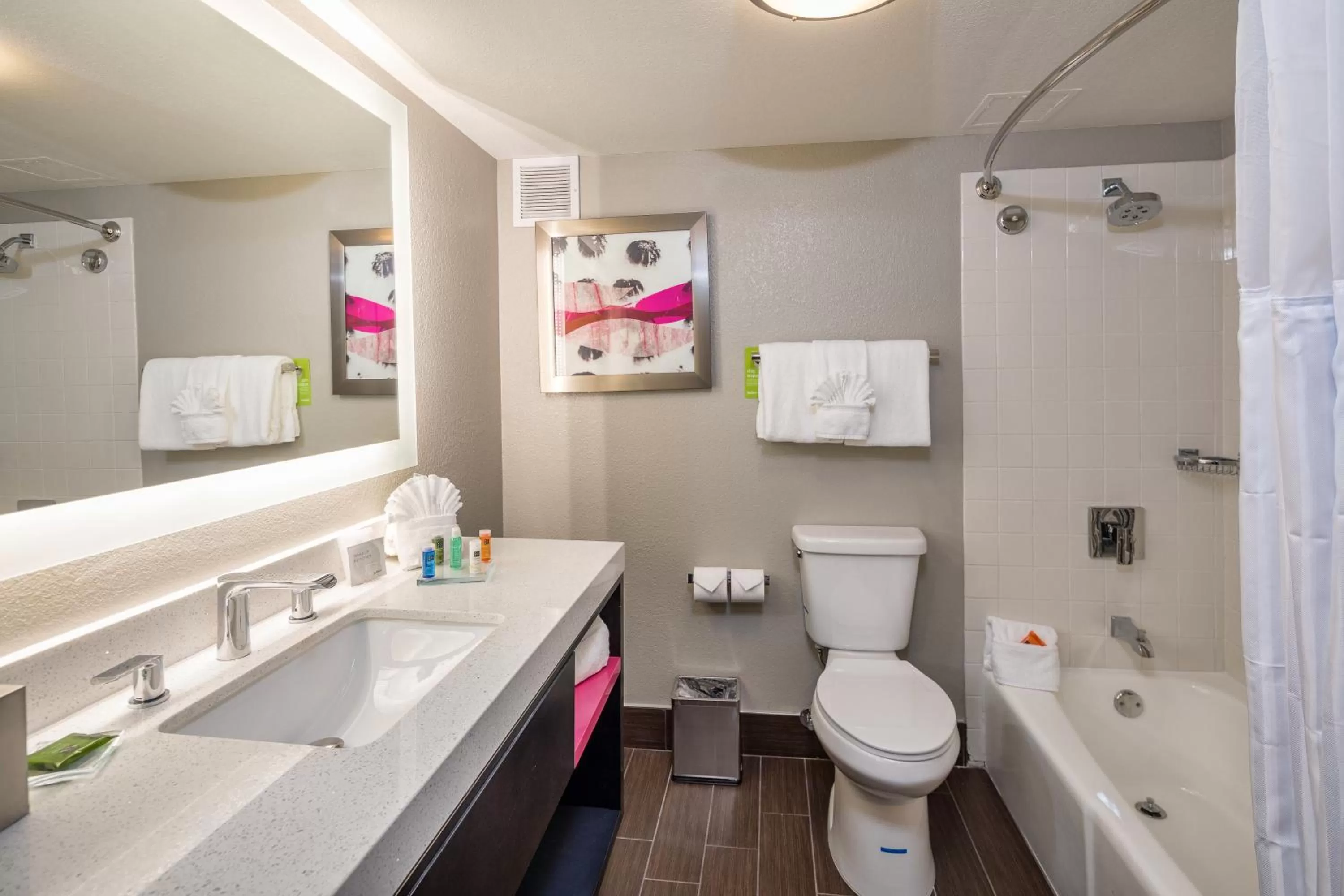 Shower in Radisson Hotel Oakland Airport