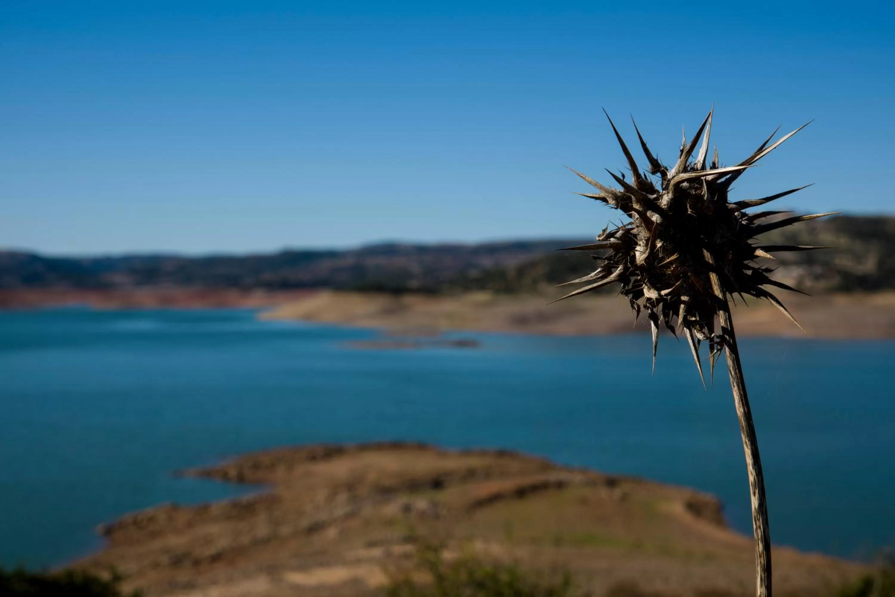 Nearby landmark in B&B Charme Sa Pardina