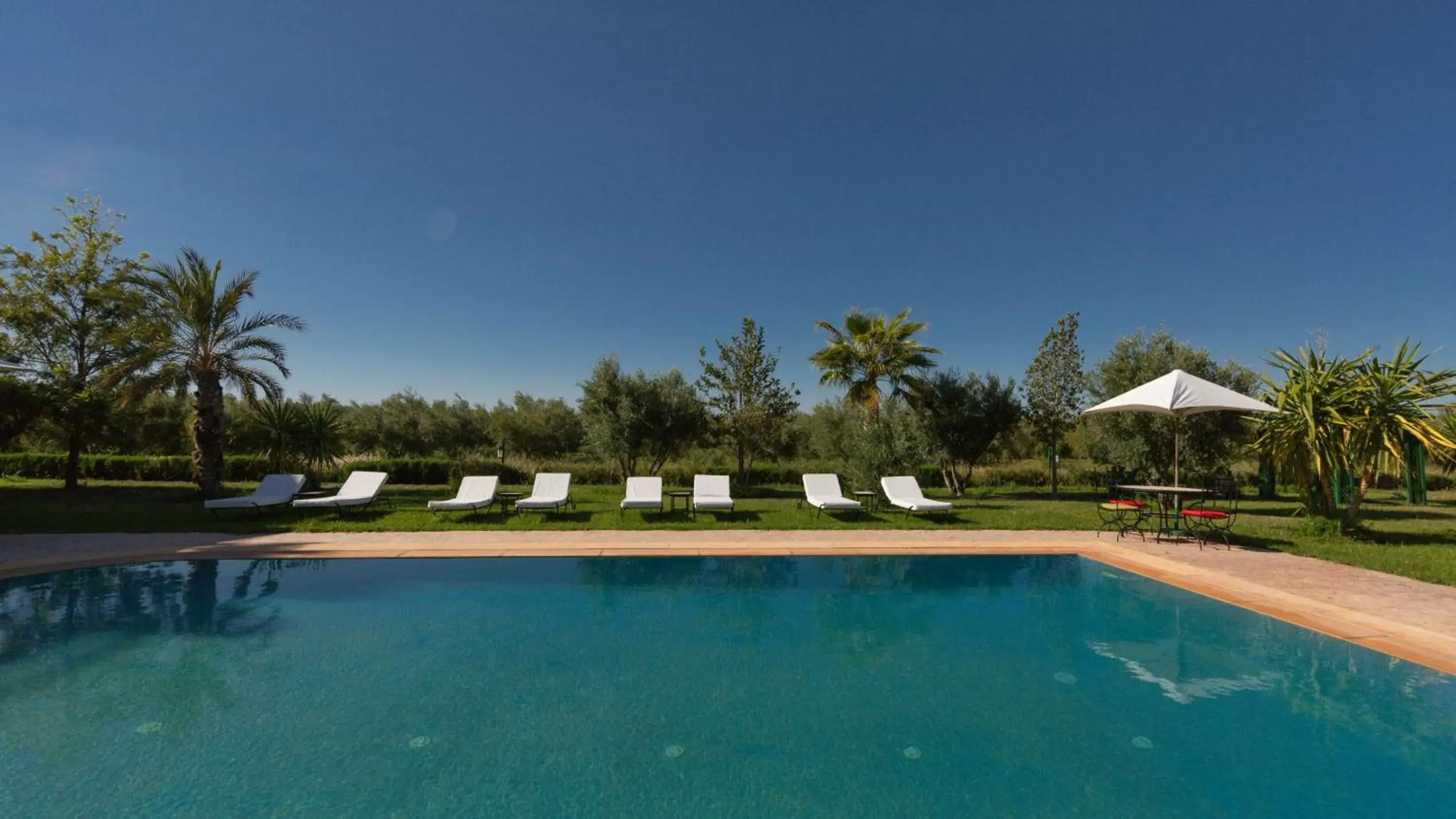 Pool view, Swimming Pool in L'OLIVERAIE DE L'ATLAS