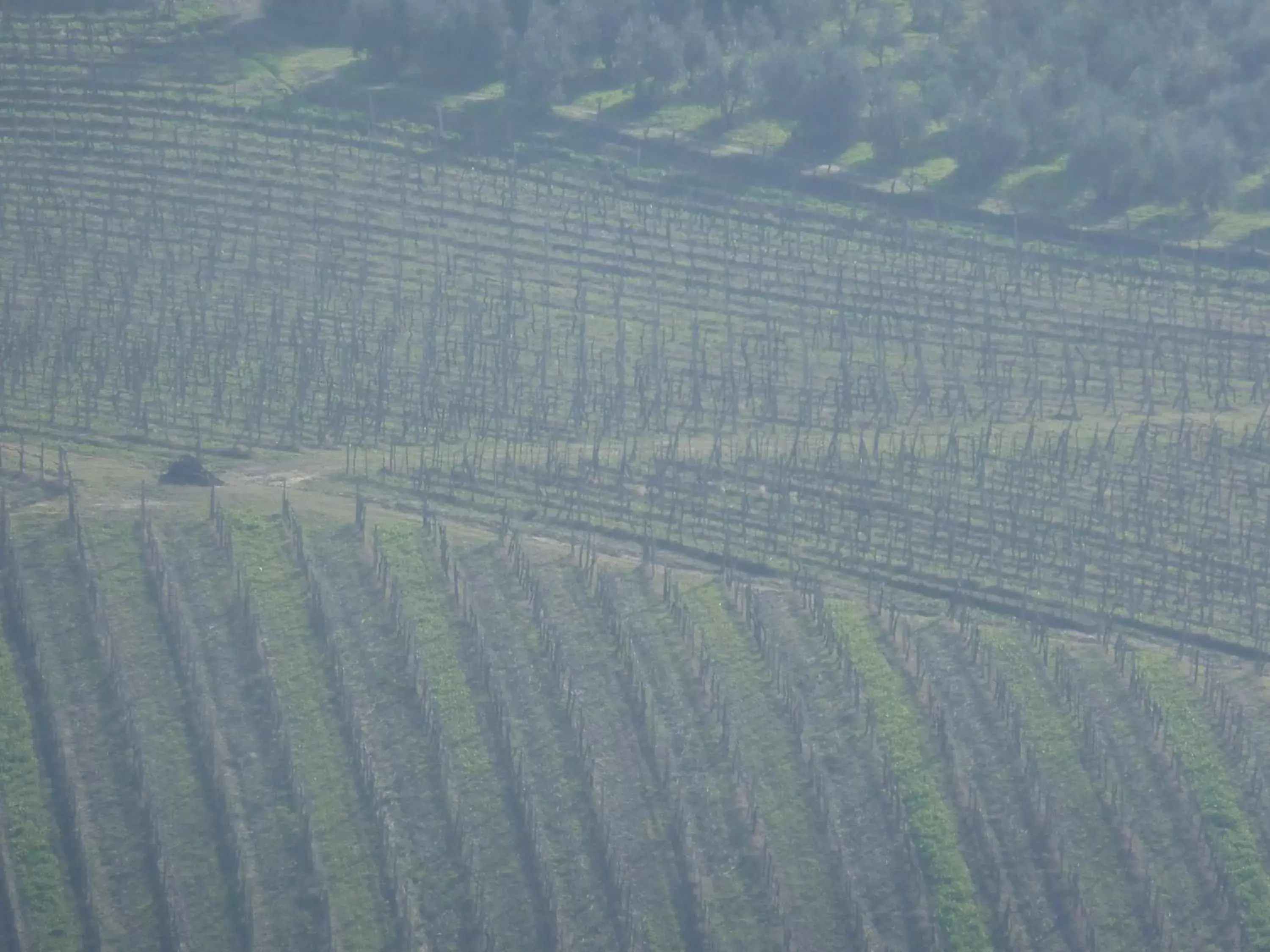 Bird's eye view, Bird's-eye View in B&B I Coppi